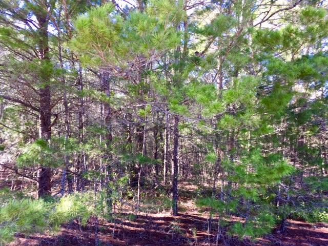 OAKWOOD HILLS UNIT 1 - Land