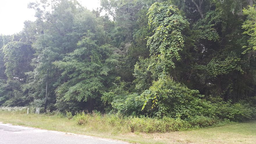 Amazing lot in a great neighborhood. Underground utilities already in place. Just a few minutes to Grand Boulevard where you can enjoy all the amenities like Boulevard 10 theater, shopping, restaurants and much more. Less than 10 minutes to the world's most beautiful beaches.
