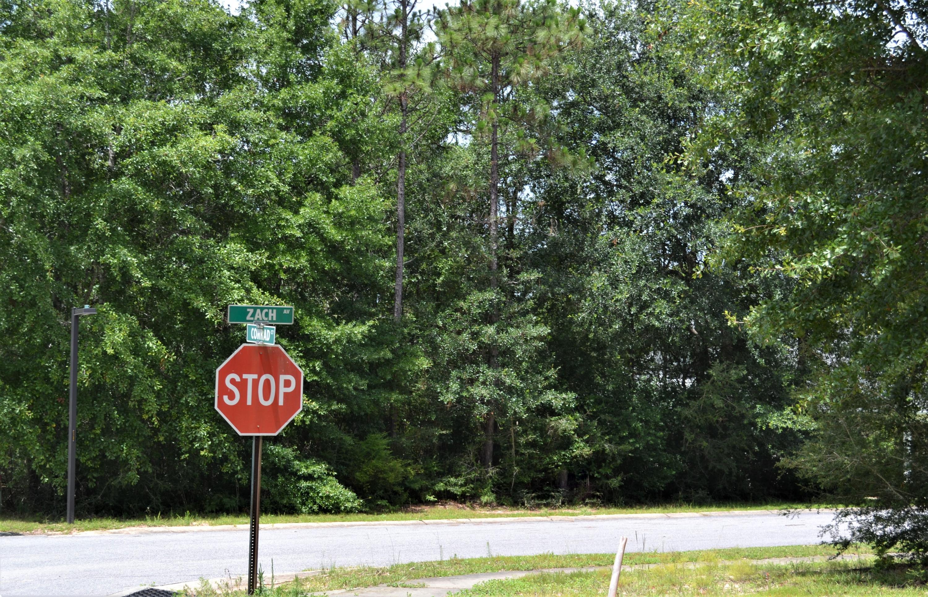 LAKE ARTHUR ESTATES - Land