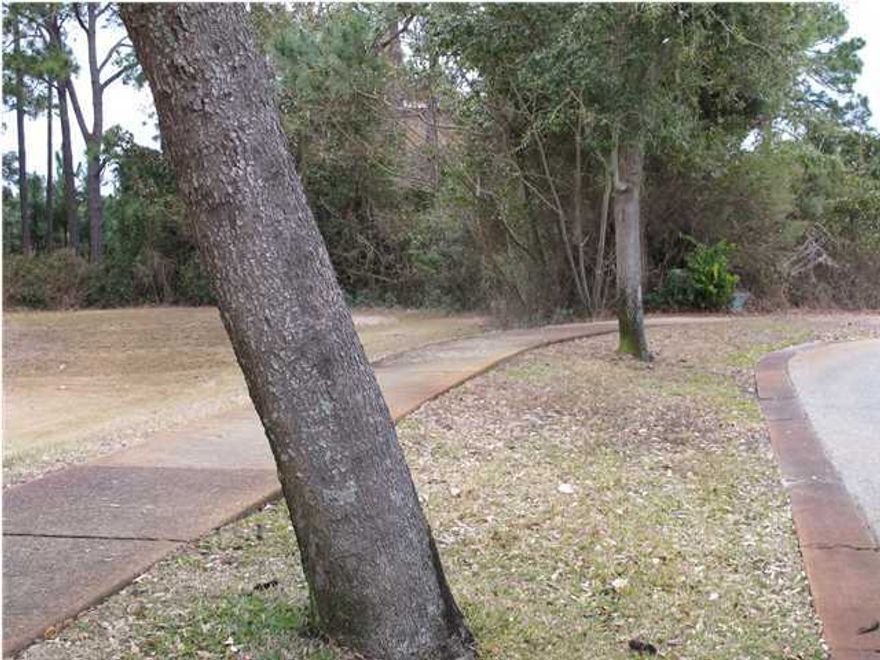 Huge price reduction! South of 98 - walk to beach in desirable Sunsail community. 1/2 acre lot at end of cul-de-sac. Plenty of room for private swimming pool. Room for 3 car garage with HOA approval. Private entry from future long driveway. Front of home will face wetland. Build right next to Destiny million dollar homes. Located near Crystal Beach, walk to the Gulf of Mexico. Great location - 5 minutes to Destin Commons, cinema, restaurants, Mid-Bay Bridge, more. North of lot is green space, wetland, adding privacy. Minimum 1200 square foot home - see architectural guidelines attached. Buyer to determine whether lot is suitable for his own desired use through feasibility study.