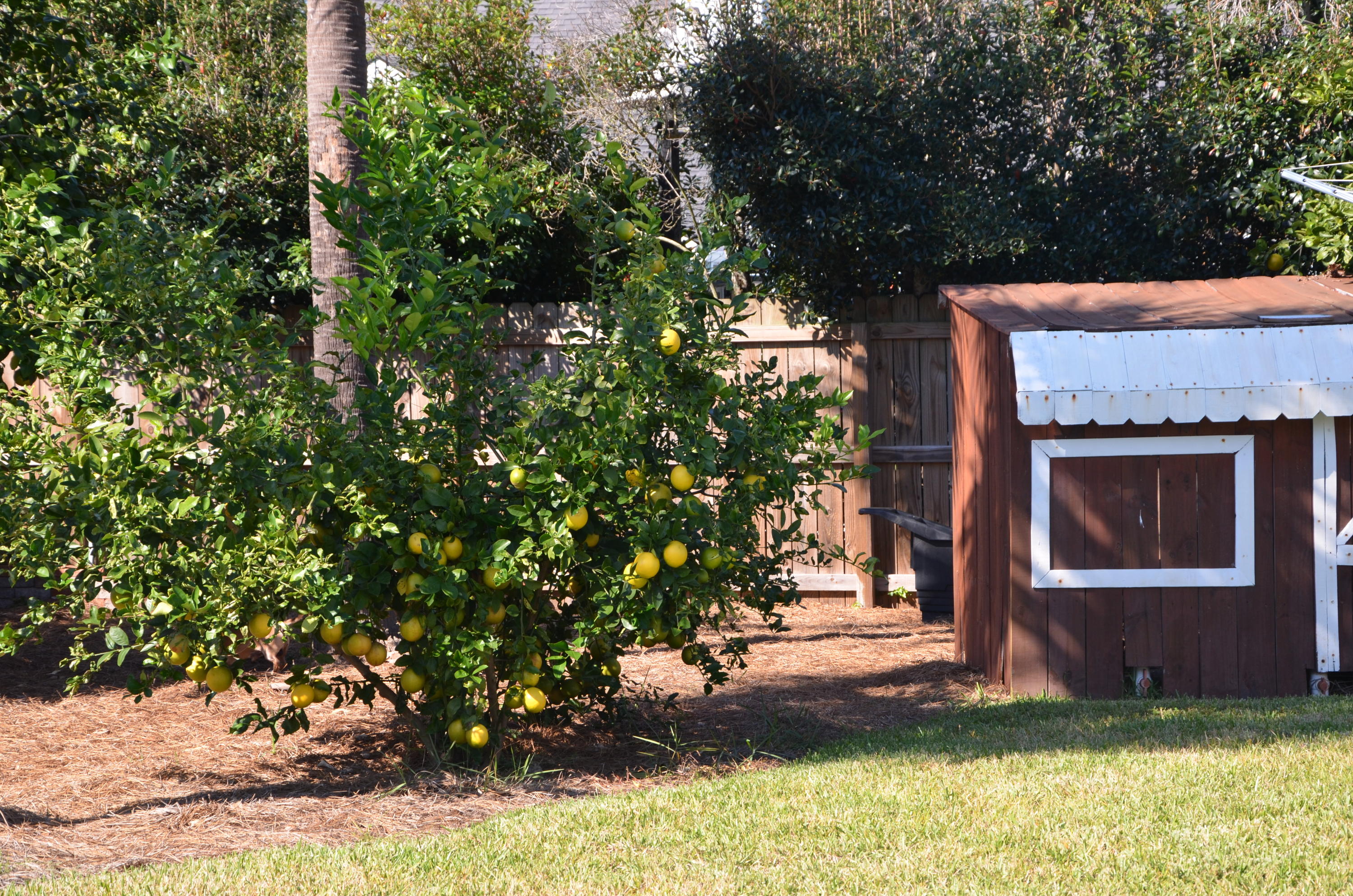 HARBOR BREEZE 1ST ADDN - Residential