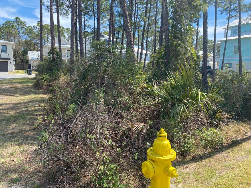 Corner lot in the desirable Frangista Beach community. This upscale beach community has many  profitable vacation rentals. It is building out quickly and prices continue to increase. Build and sell or build and rent out. Projections are 200-250K rental for 7-8 bedrooms with a private pool.Lot has a water view of pond. Gated community.