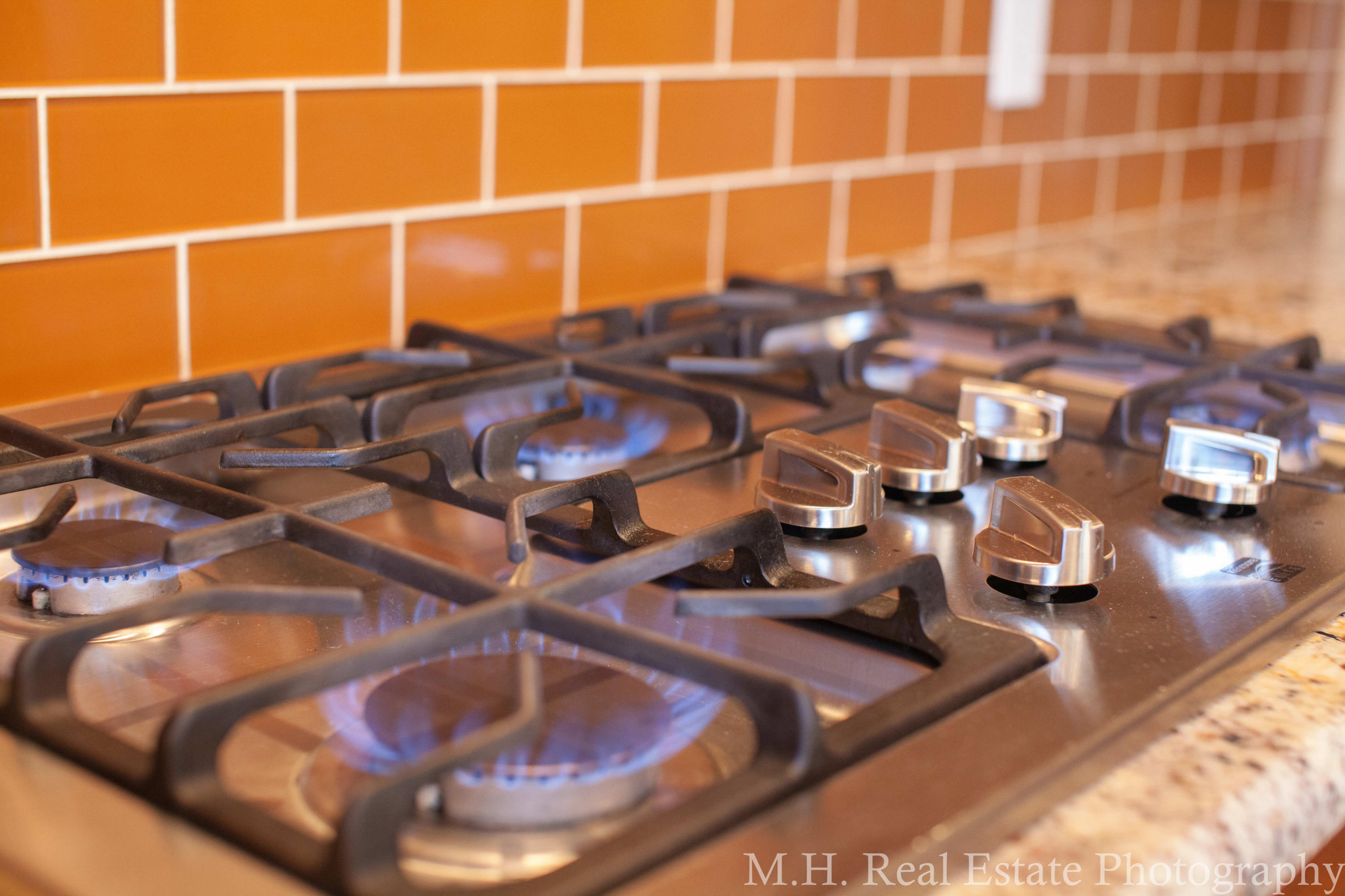 CINCO RIDGE ESTATES - Residential