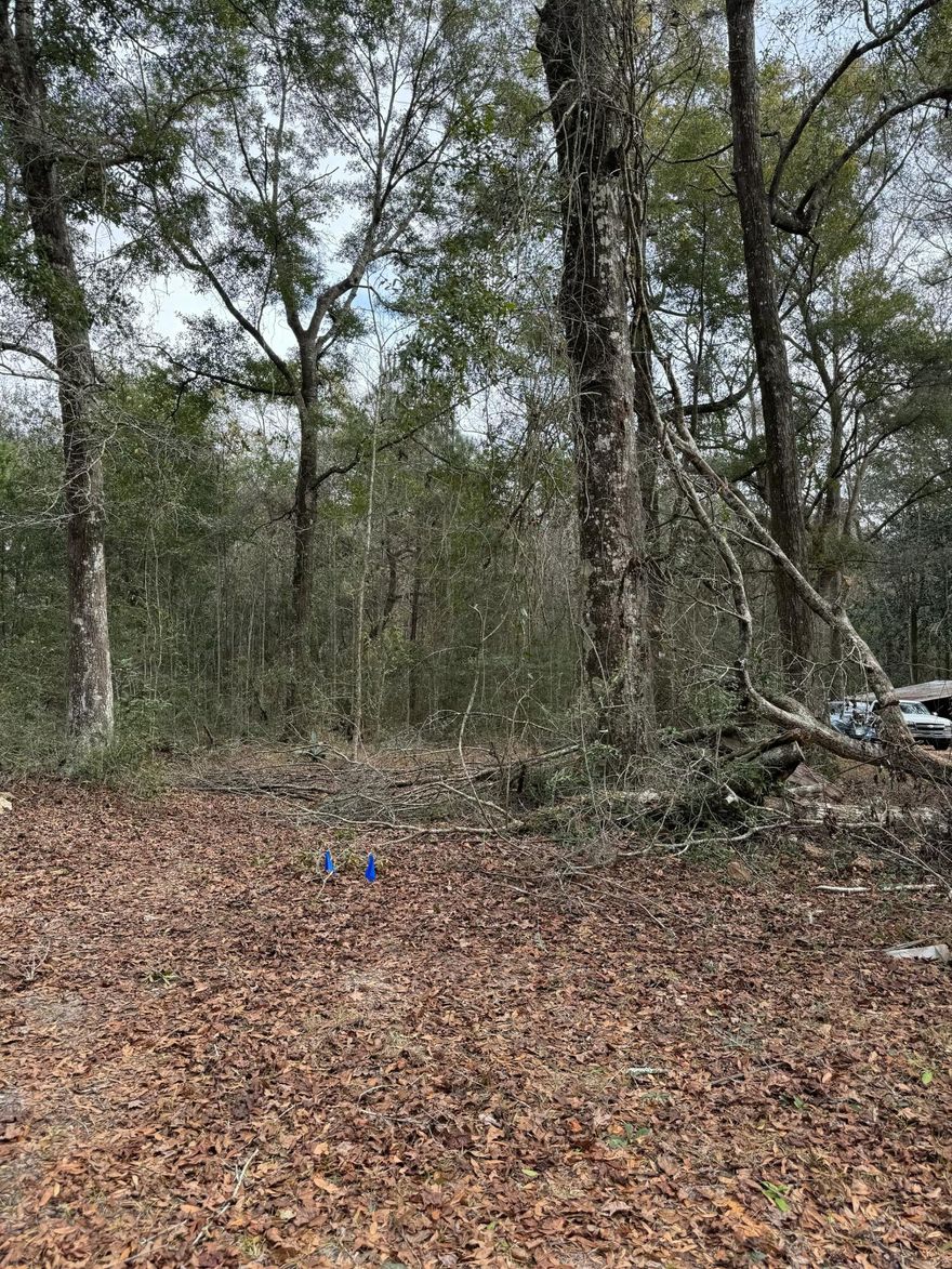 Opportunities like this don't come around often -- more than a half-acre of prime residential land in Freeport with no HOA restrictions and a price tag of just $60,000. Perfectly positioned just north of the 331 bridge, this lot offers the best of both worlds: a peaceful retreat away from the crowds while keeping the stunning beaches and amenities of the Gulf Coast within easy reach. Whether you're an investor seeking a smart addition to your portfolio or a homeowner ready to build your dream residence, this property delivers space, flexibility and unbeatable value.