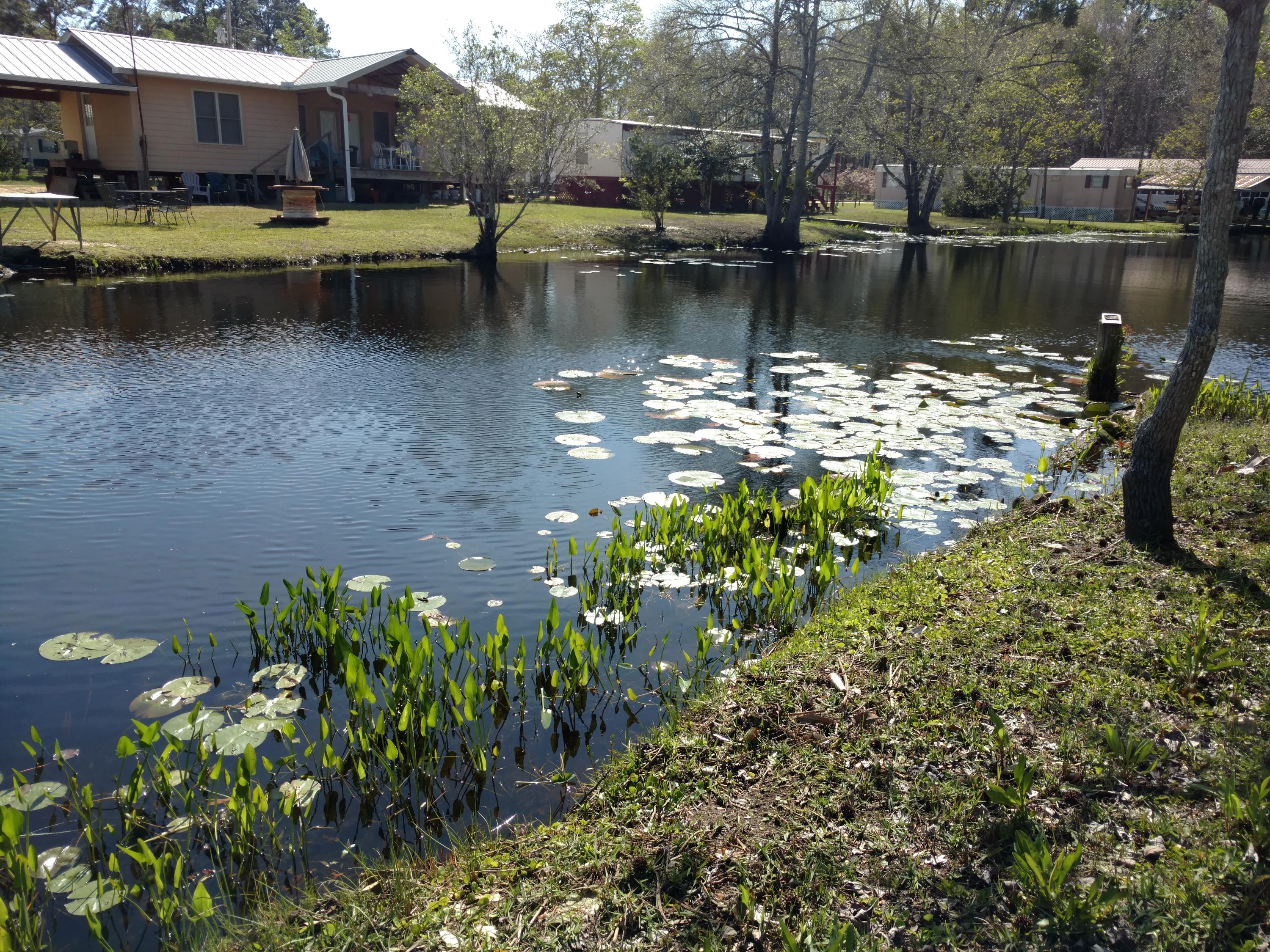Black Creek Lodge - Residential