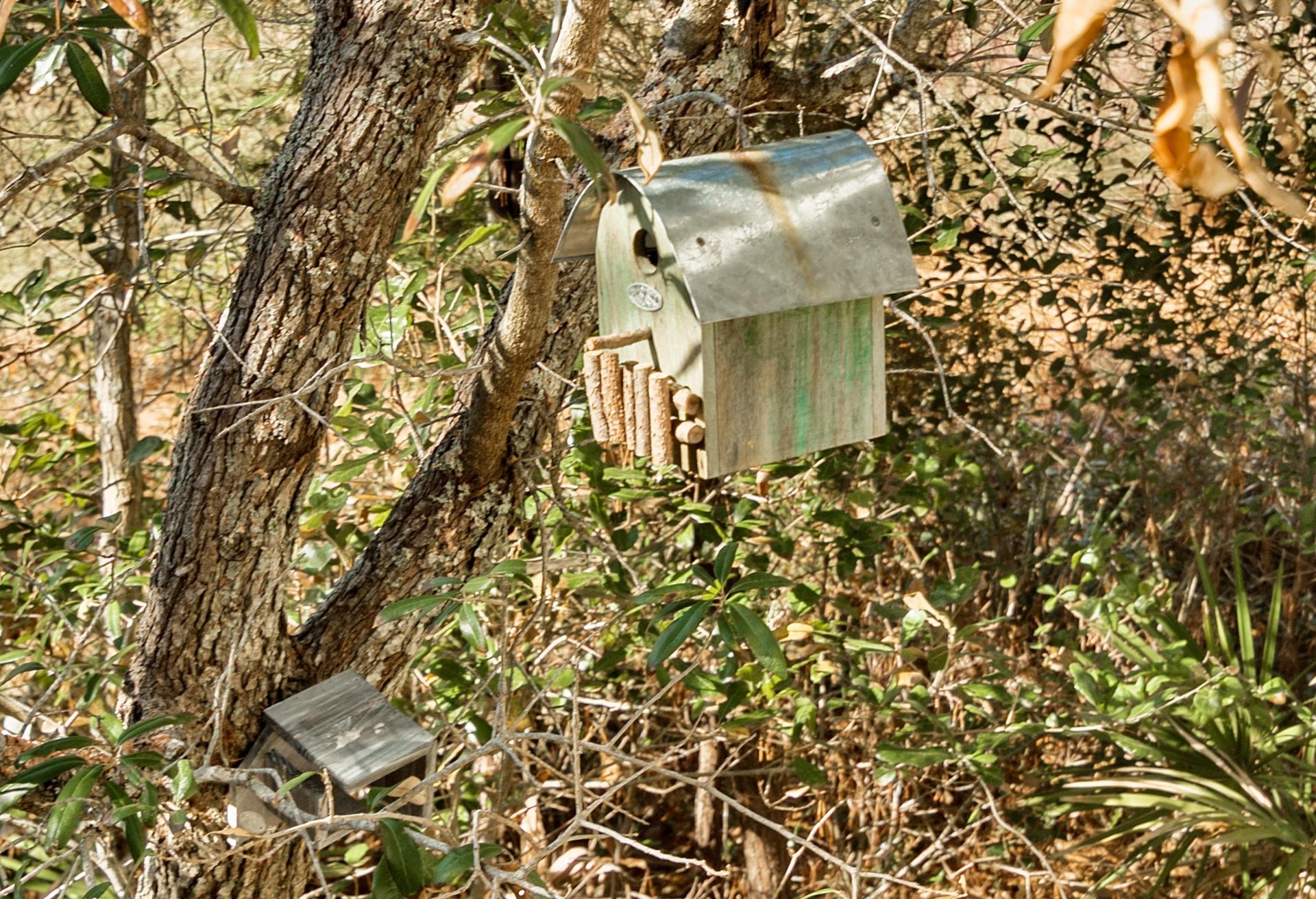 THE PRESERVE AT GRAYTON BEACH - Residential