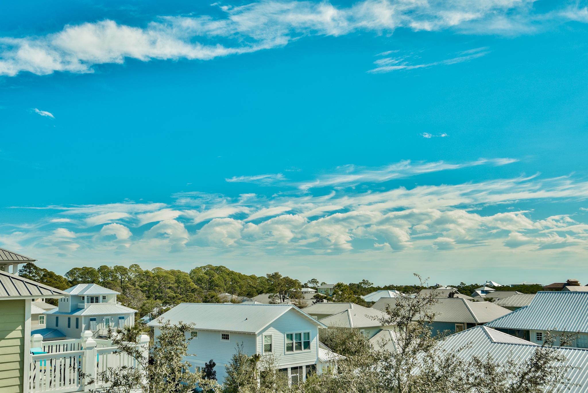 THE PRESERVE AT GRAYTON BEACH - Residential