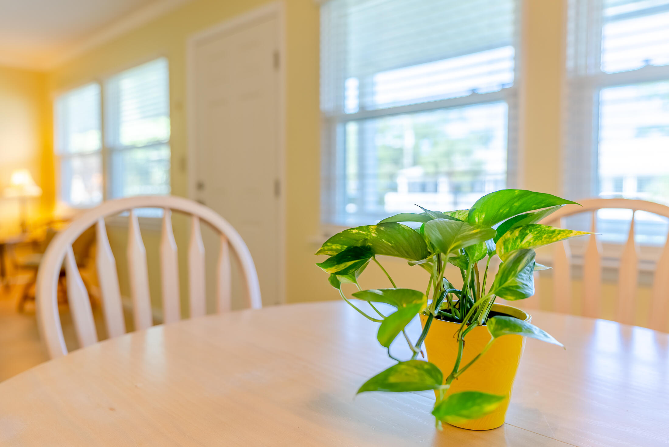 St Andrews Harbour - Residential