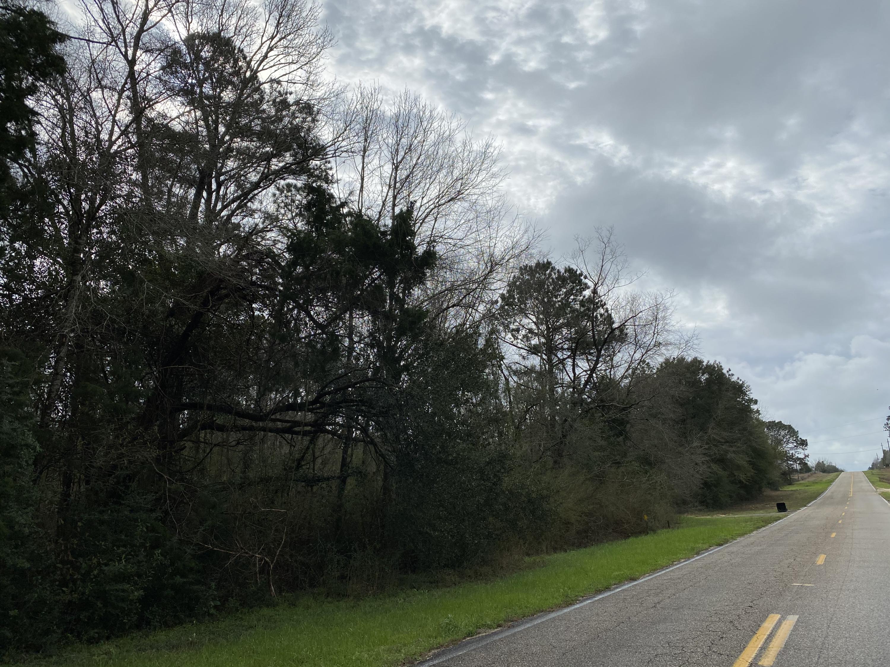 METES & BOUNDS - Land