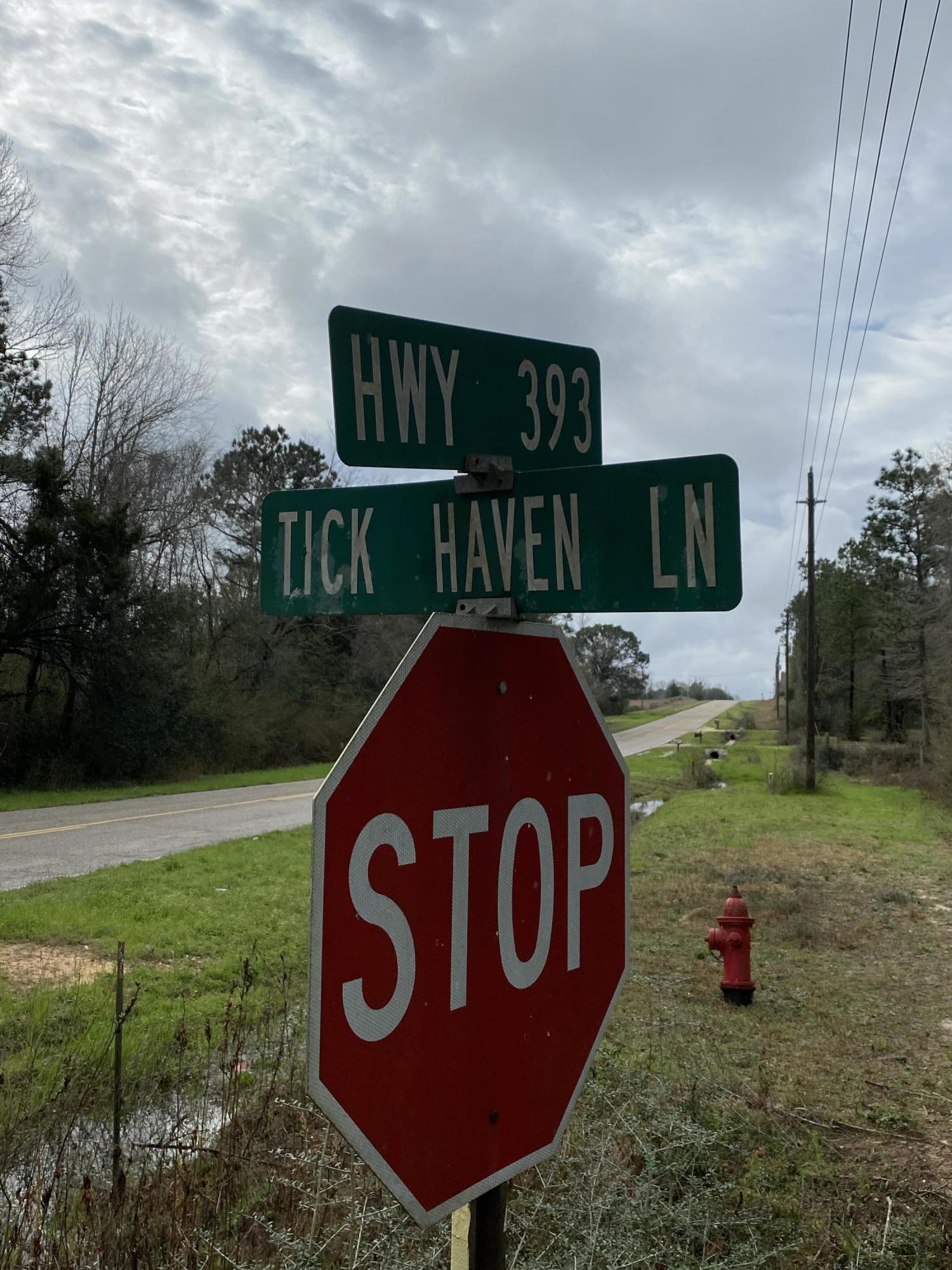 METES & BOUNDS - Land