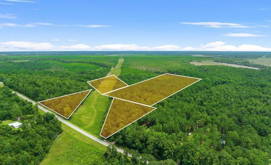 Land sale consisting of three parcels totaling 42 acres in Washington County off of Millers Ferry Road. Parcel ID's are 00000000-00-5345-0000, 00000000-00-5421-0000, and 00000000-00-5436-0000 Mixed zoning including Timberland of 22.5 acres and swamp 19.5 acres. Possible wetland mitigation with the low lying pieces. Seller is motivated and will look at all offers!