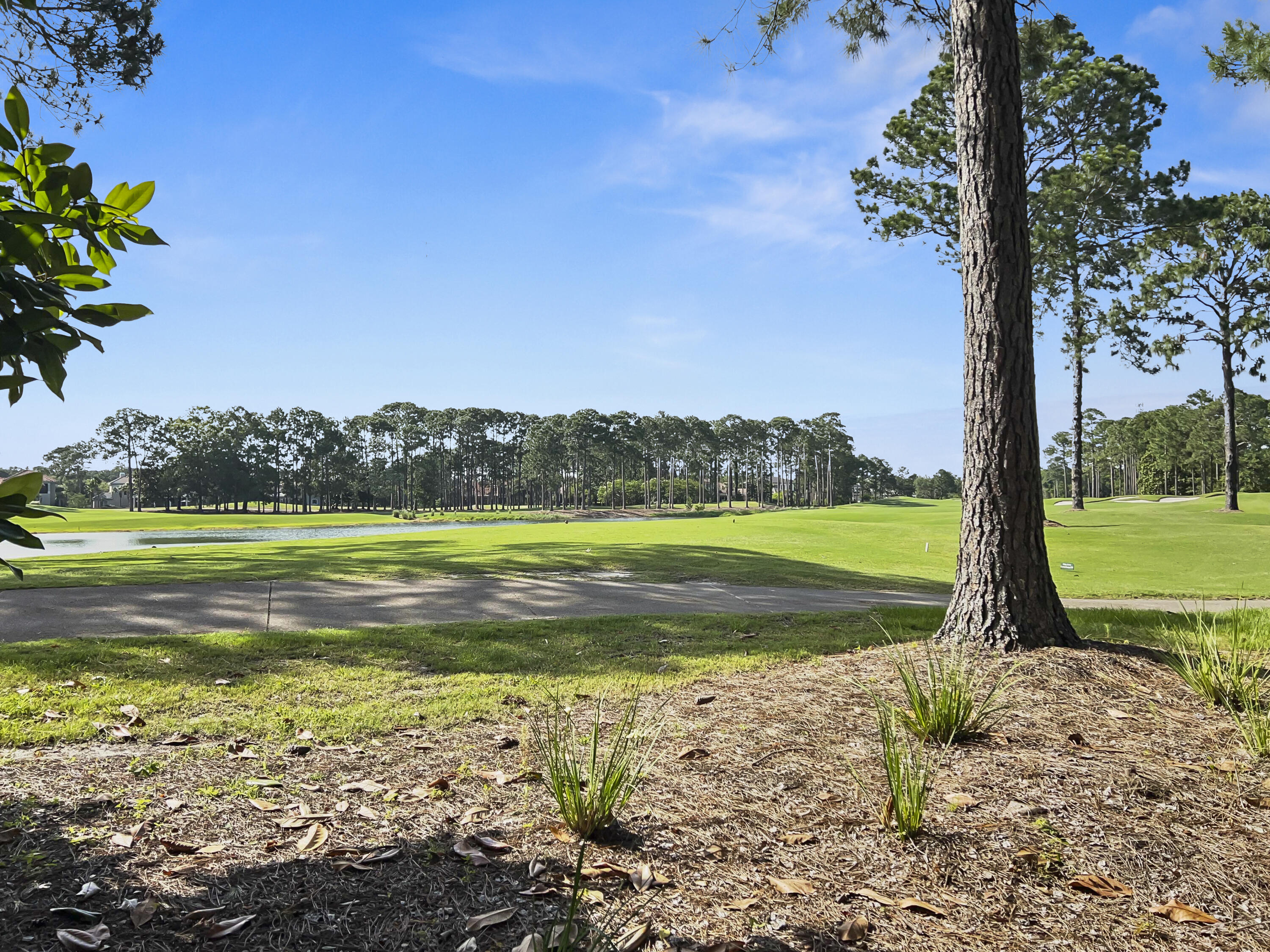 Vineyard at Raven Oaks - Residential