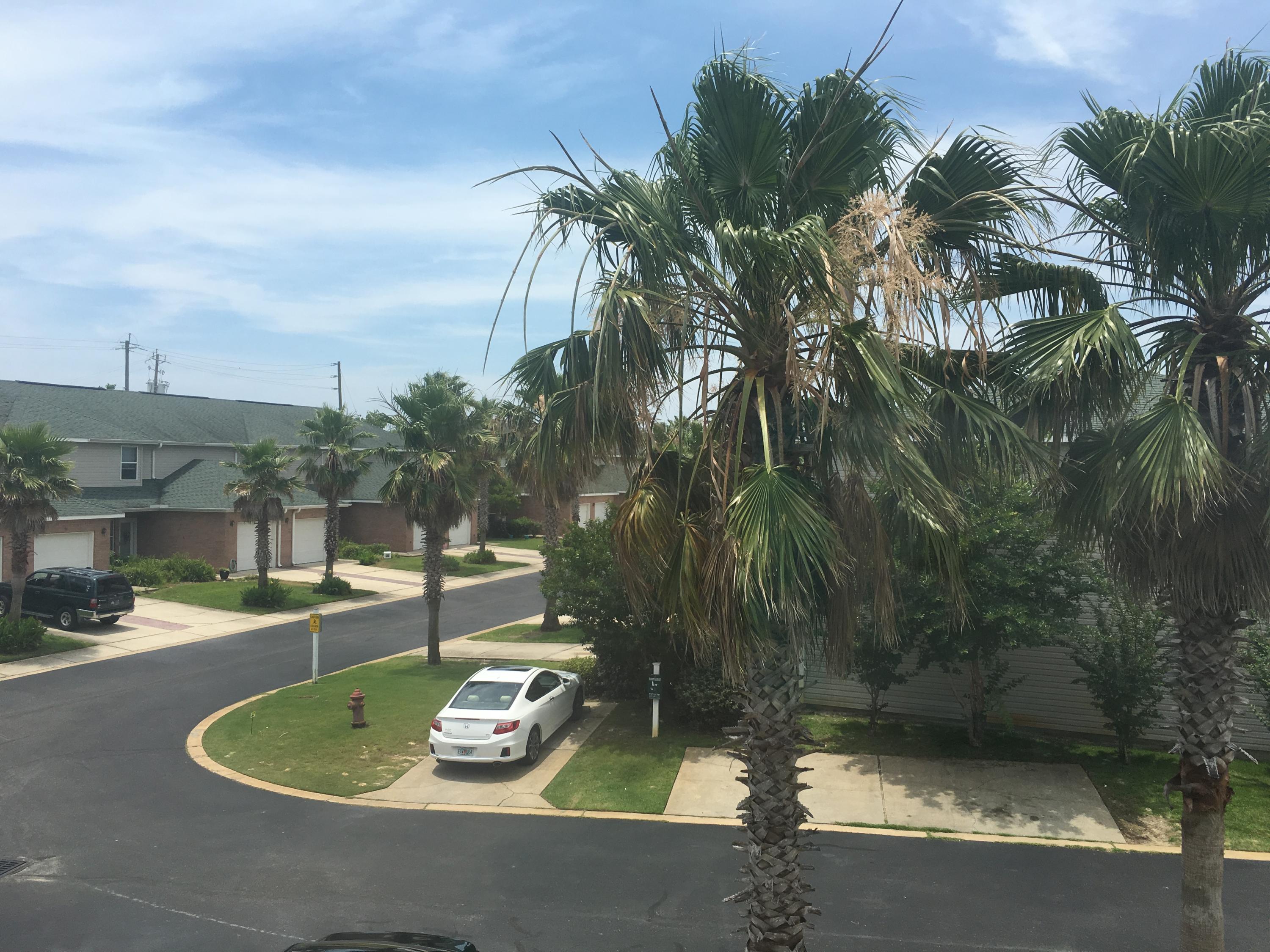 MAGNOLIA PARK PH 2 . - Residential