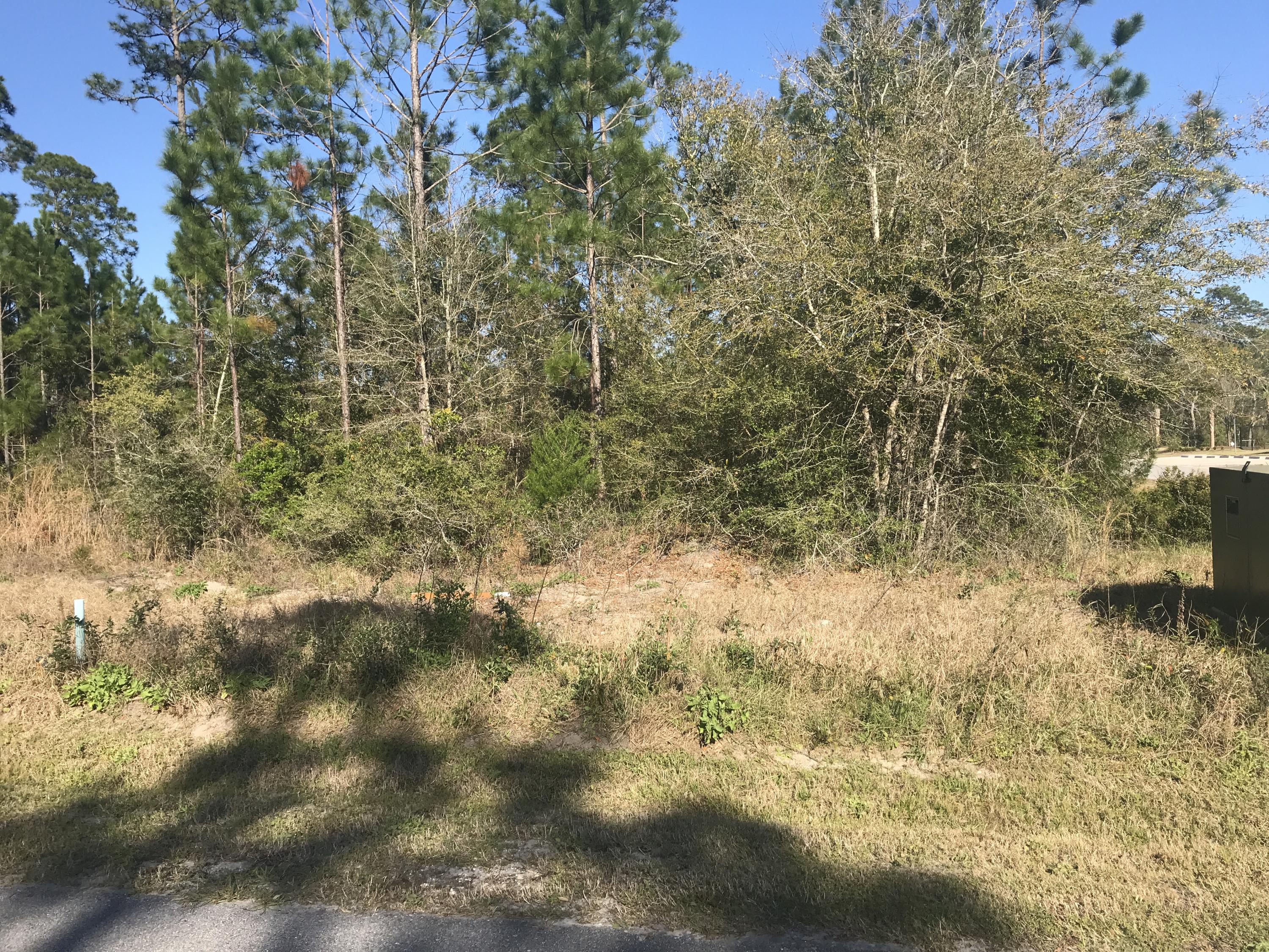 BEAR CREEK COTTAGES - Land