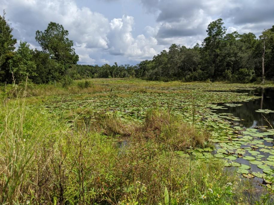 UNRECORDED SUBDIVISION - Residential