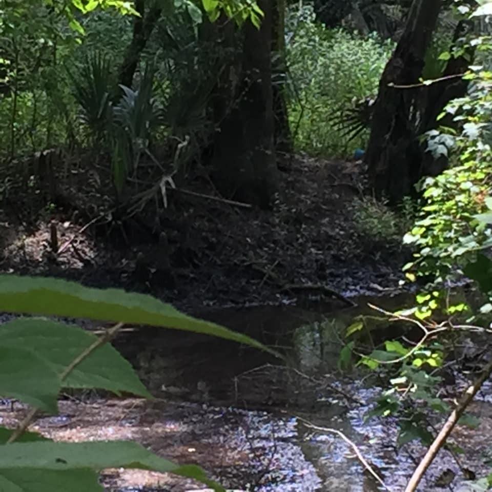 Ponce De Leon - Residential