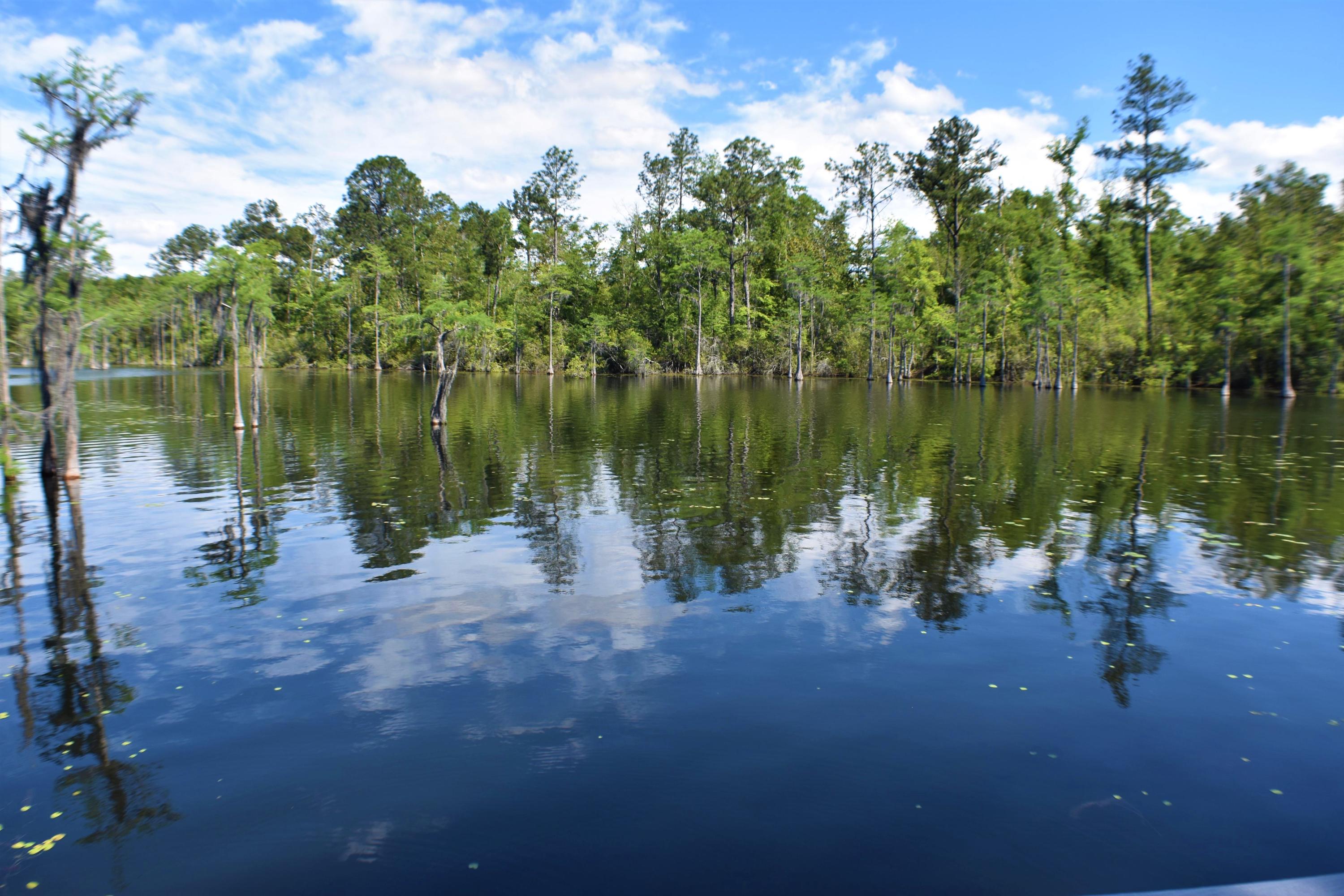 SUNNY HILLS SD - Residential