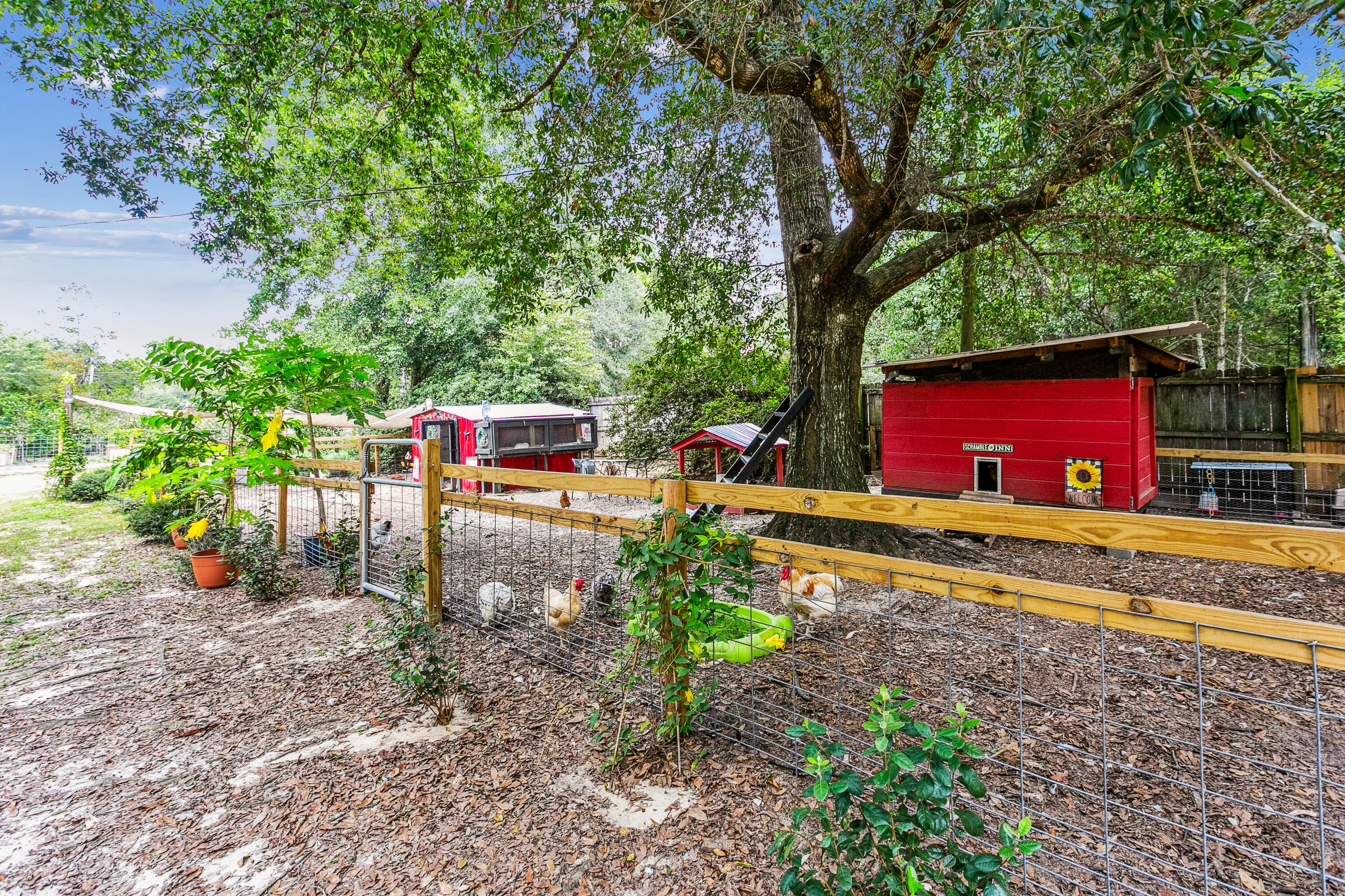 NONESUCH WAY - Residential