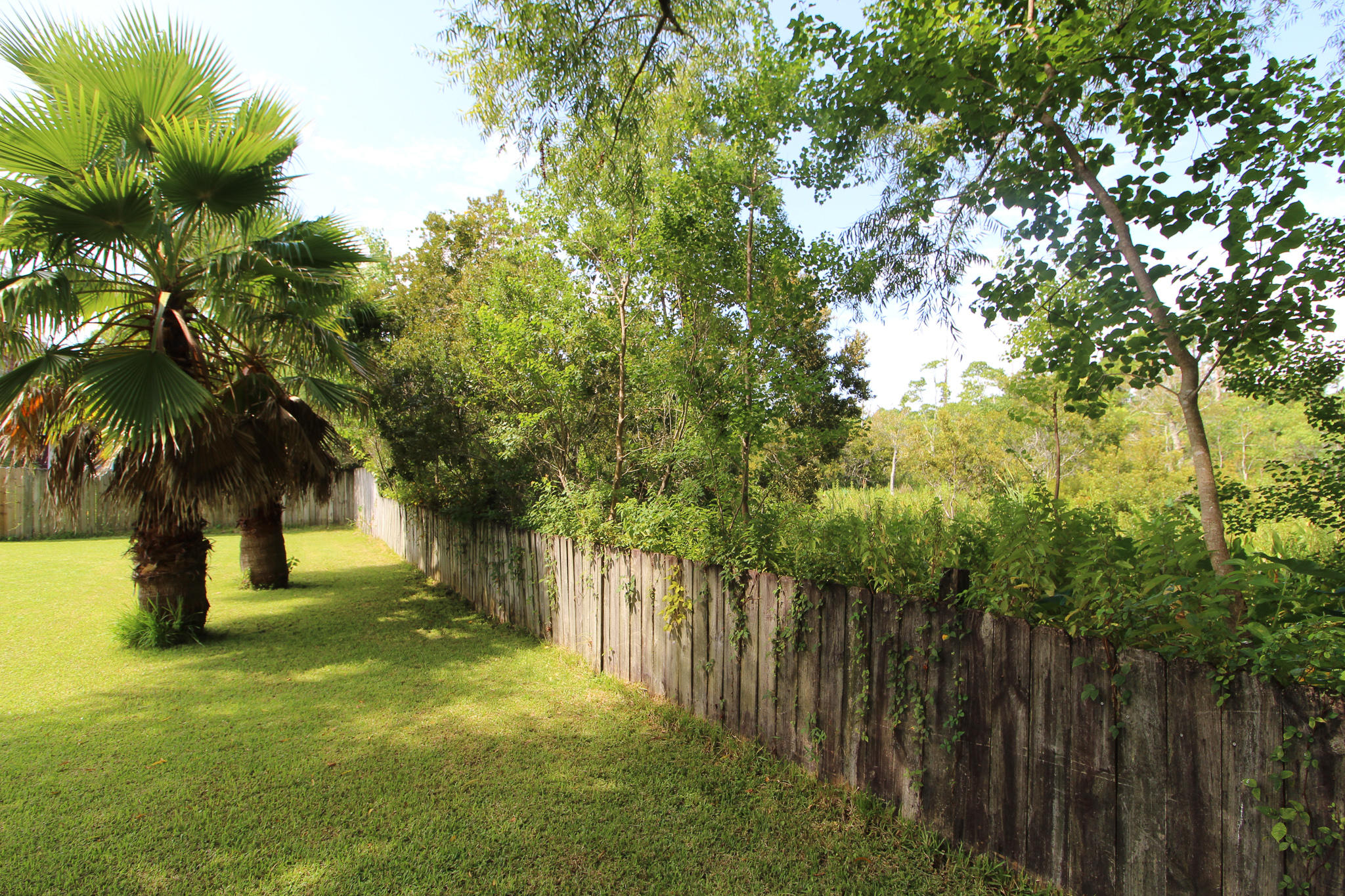 PARISH PINES - Residential