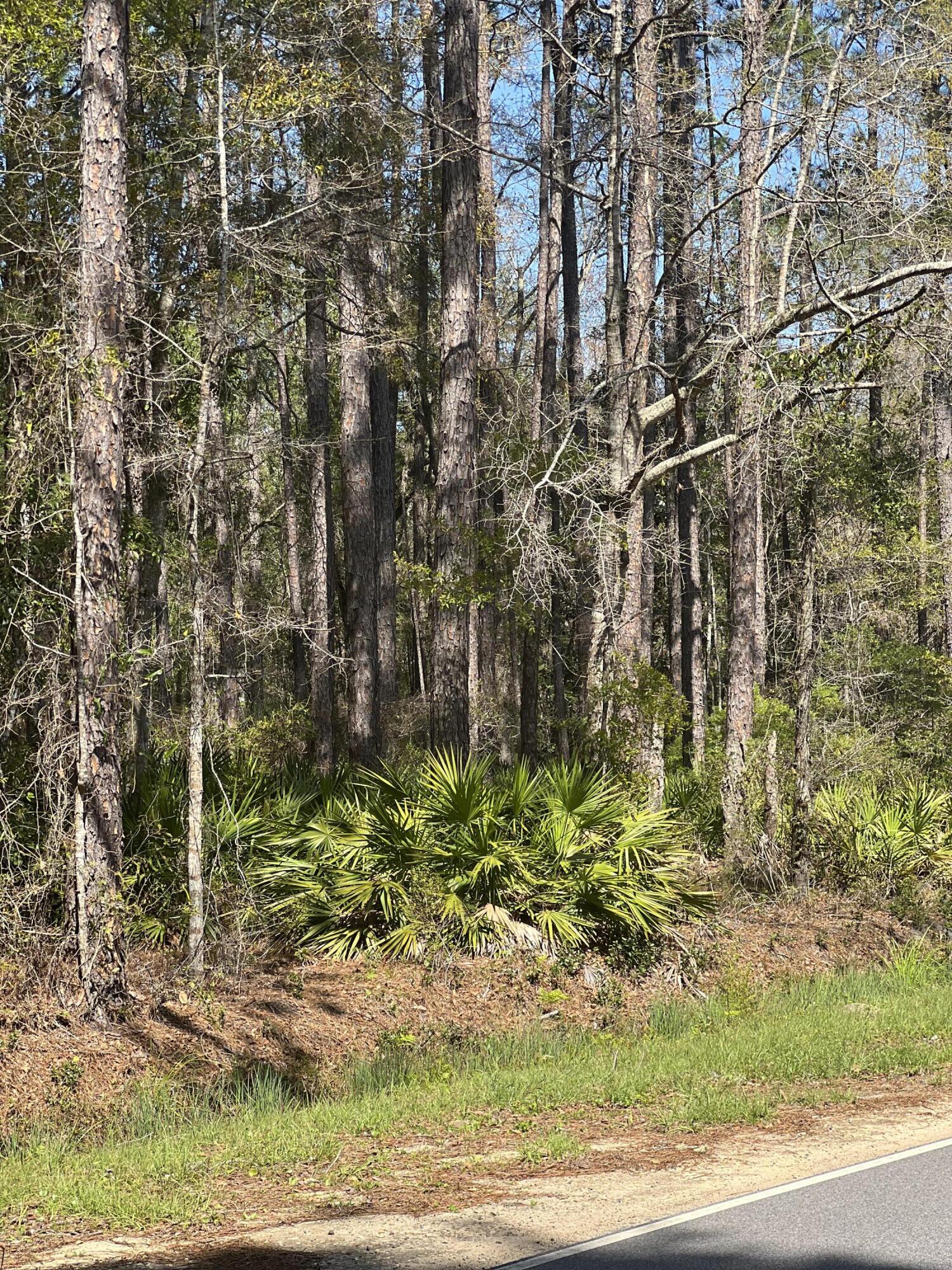 Mallet Pines S/D Unrecd - Land