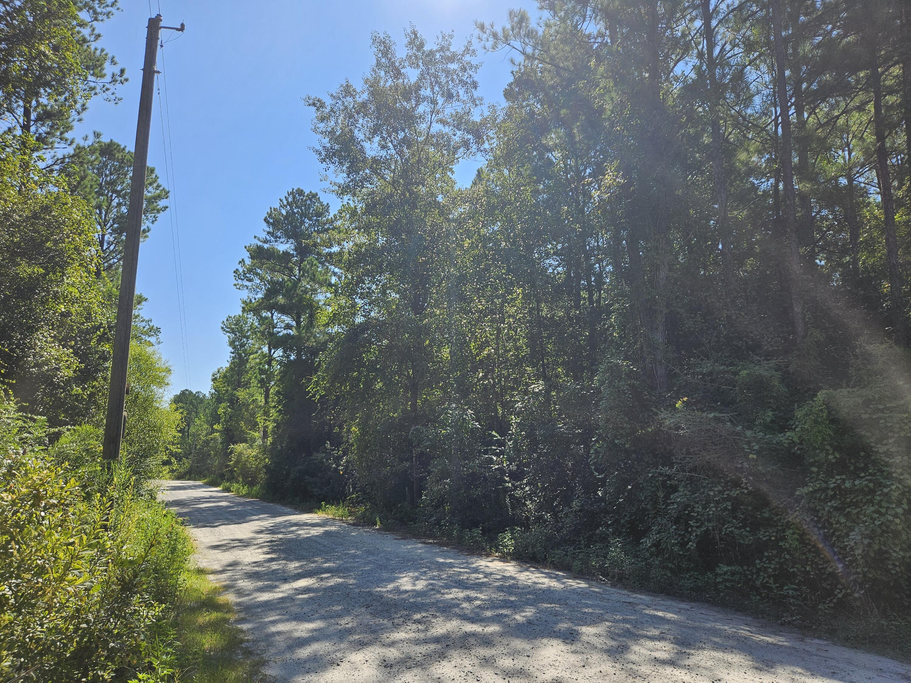 Wonderful lot on Shoal River with approximately 183 feet on the water! Close to the Hwy 285 and Interstate 10 interchange for easy access. Private road with very little traffic. Parcel is wooded so pick your spot and enjoy the privacy and beautiful scenery that Shoal River has to offer. River pictures coming soon.