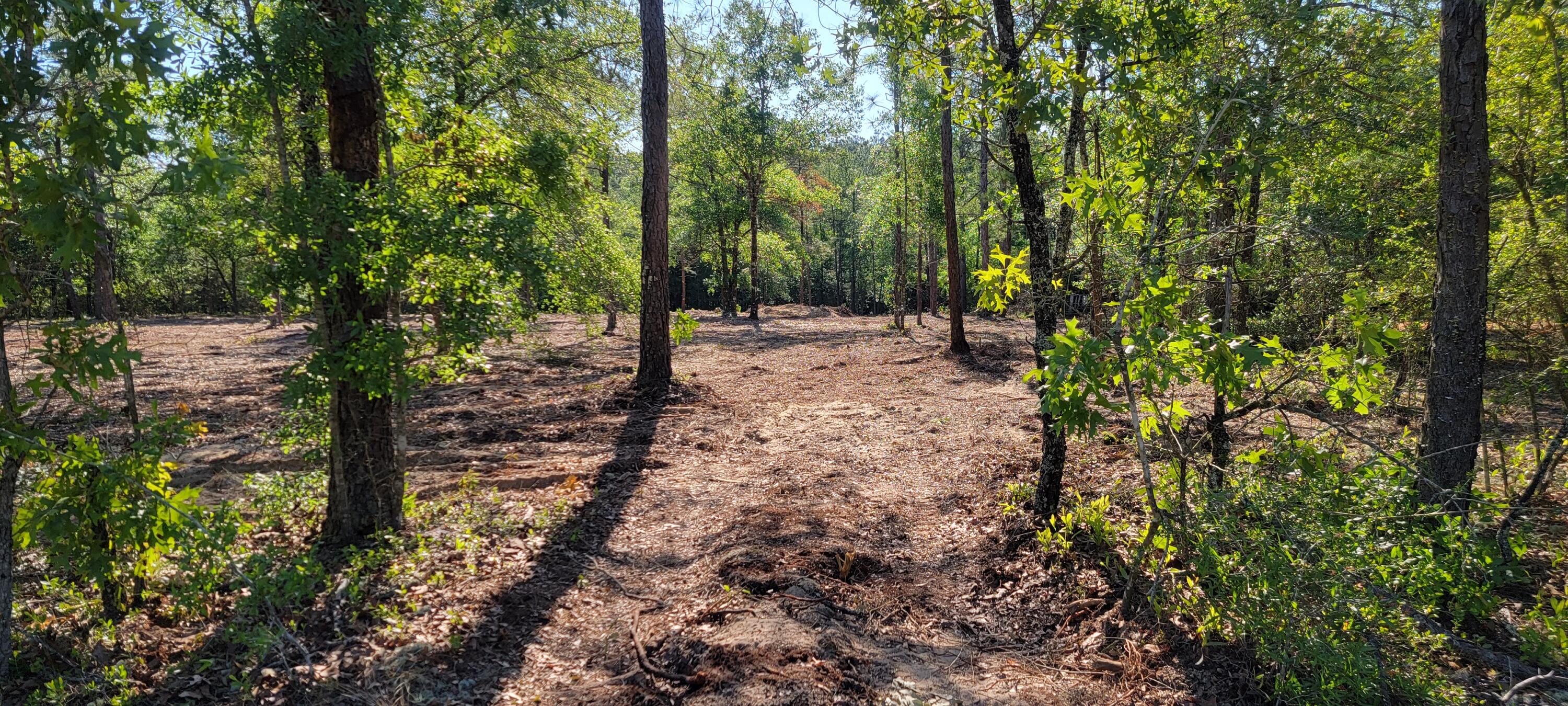 Property is cleared and ready for you to make this your new home site! Convenient to I-10 and only a short drive to shopping. Power is at the street but no water and sewer are available. at this time. Septic tank and well will be necessary.