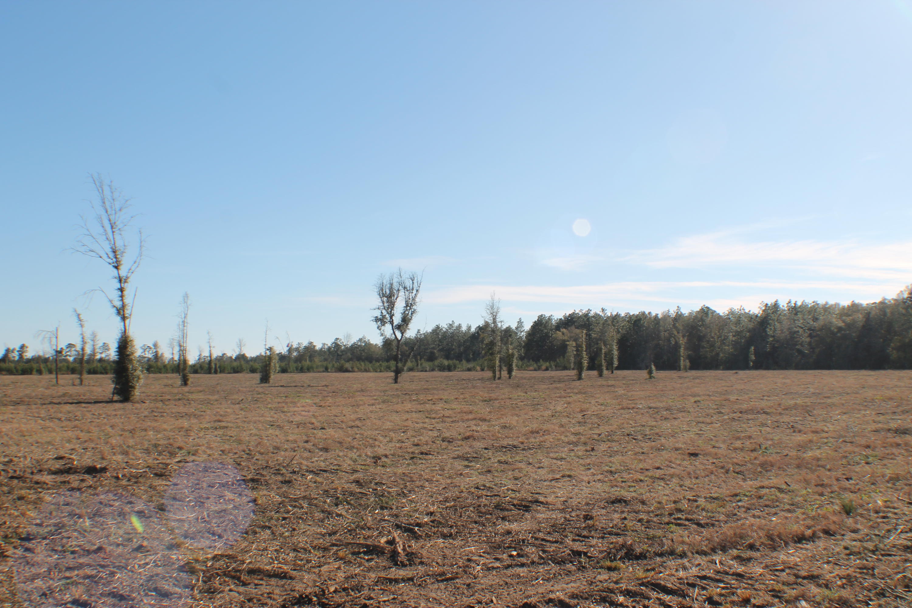 METES & BOUNDS - Farm