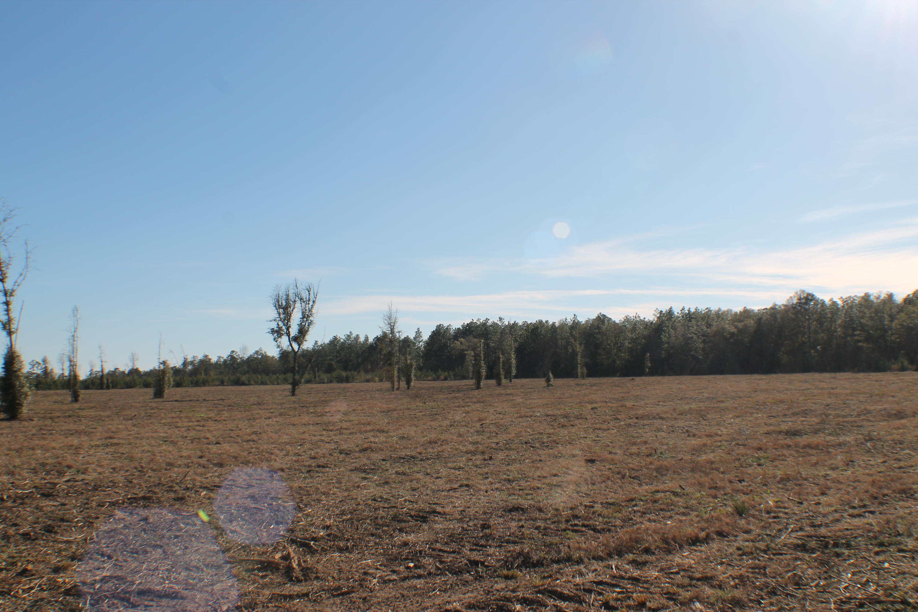 METES & BOUNDS - Farm