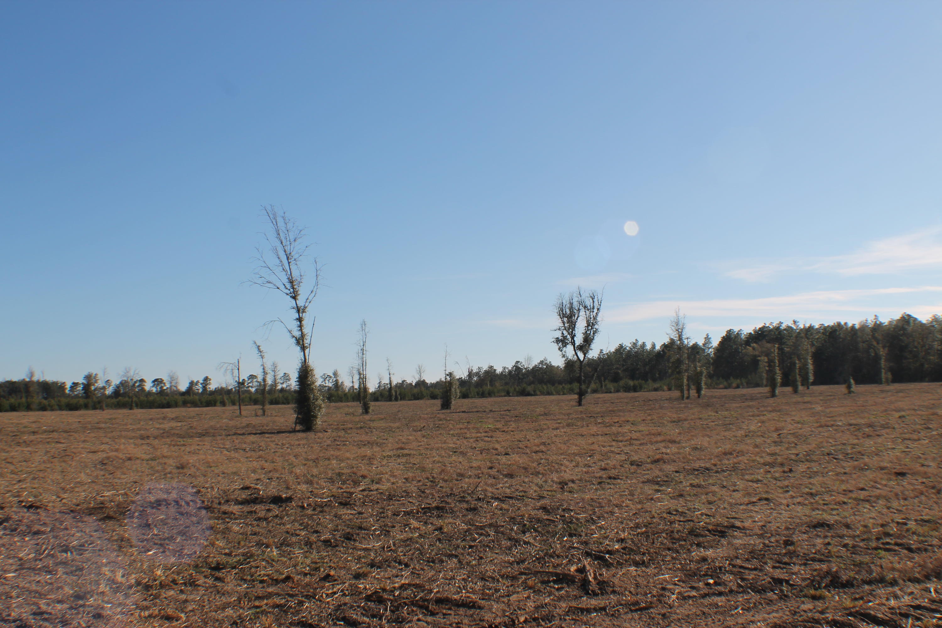 METES & BOUNDS - Farm