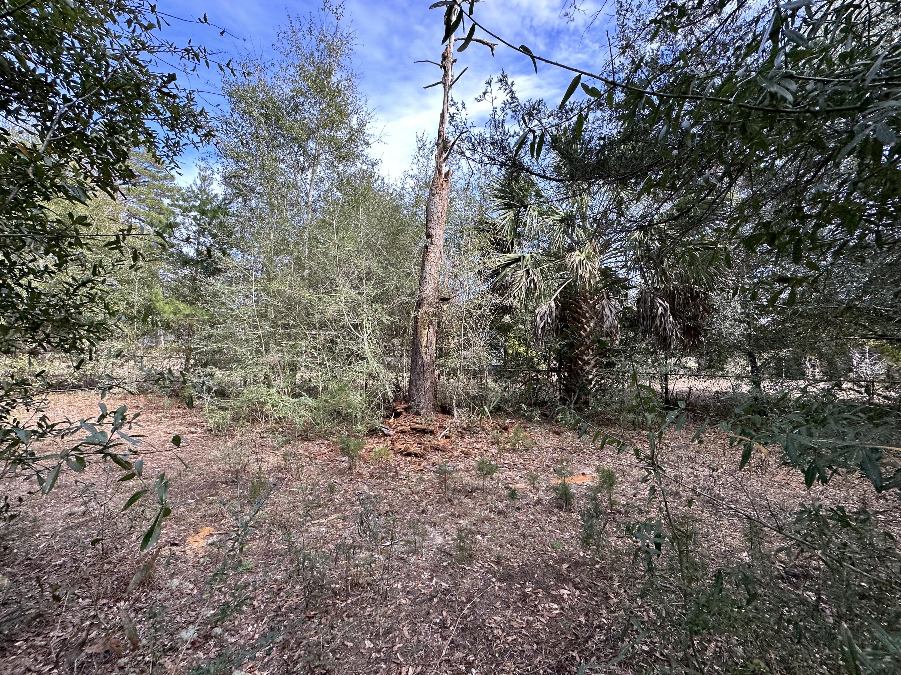 WOLFORD ACRES - Land