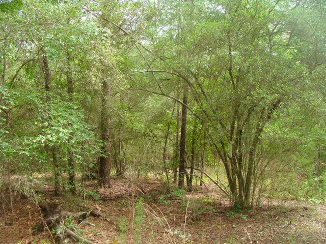 COUNTRY MANOR ESTATES - Land