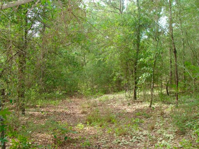 COUNTRY MANOR ESTATES - Land