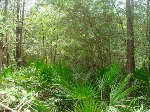 COUNTRY MANOR ESTATES - Land