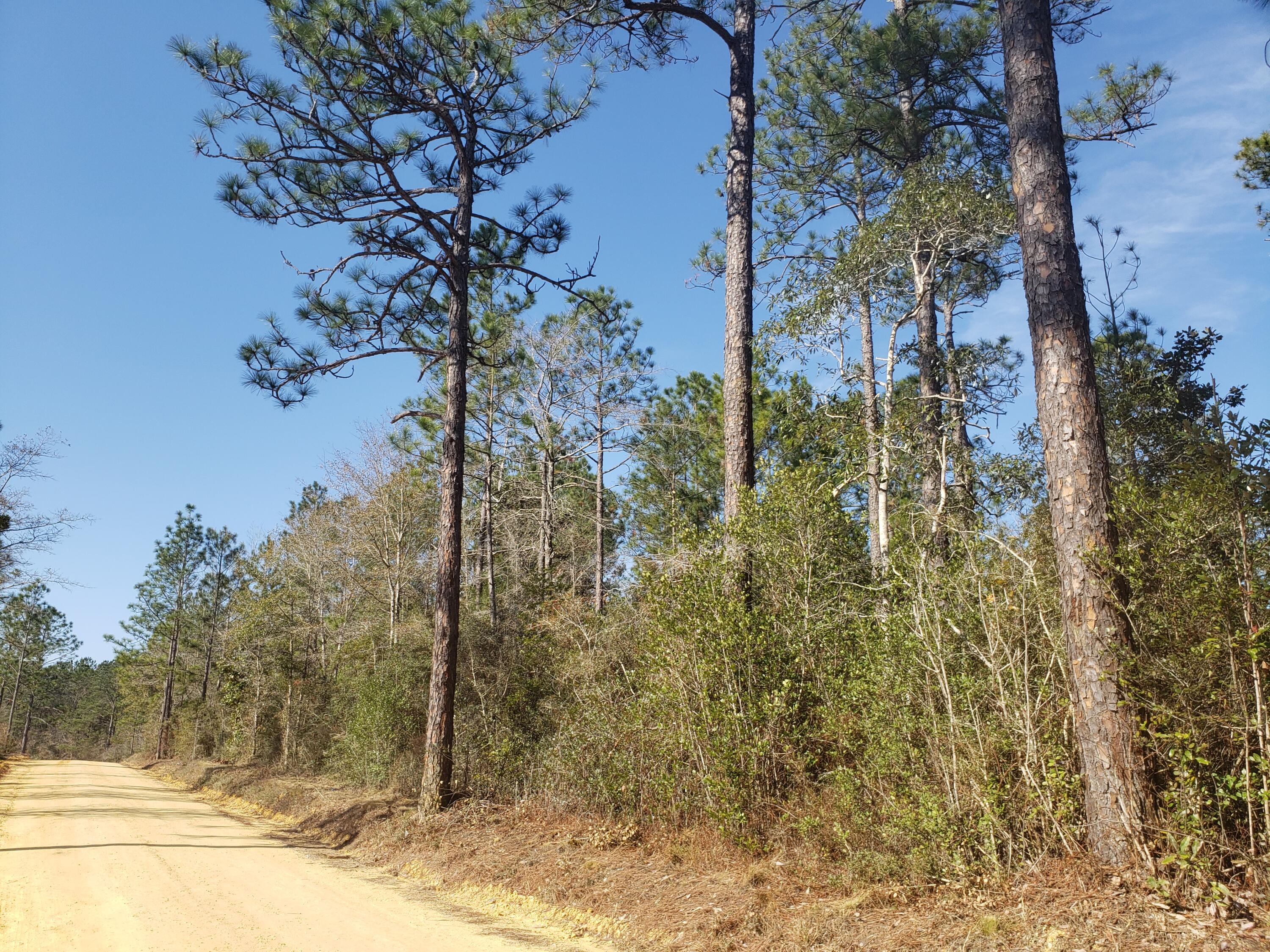 Looking for a great place to call home located outside of Crestview? This wooded 11 acres offers you the opportunity to get away from the hustle but still have easy access to town, Eglin, and all the amenities. Located in the Dorcas community this property allows for you to have livestock, a garden along with the privacy you desire. Call today - this is the piece you have been looking for!