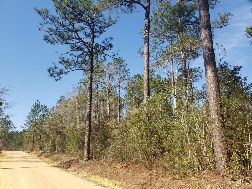 Looking for a great place to call home located outside of Crestview? This wooded 11 acres offers you the opportunity to get away from the hustle but still have easy access to town, Eglin, and all the amenities. Located in the Dorcas community this property allows for you to have livestock, a garden along with the privacy you desire. Call today - this is the piece you have been looking for!
