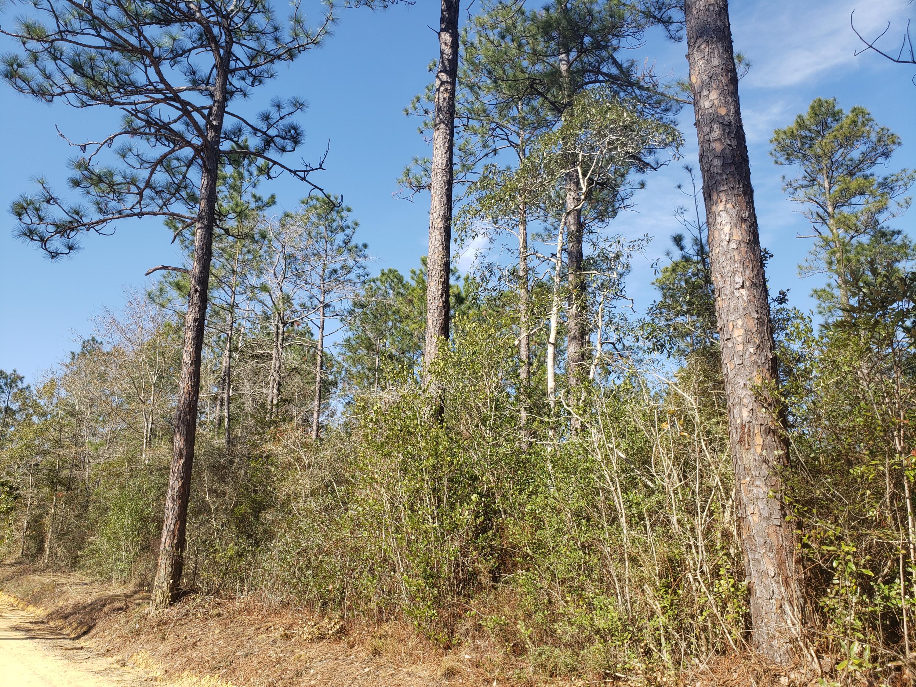 METES & BOUNDS - Land