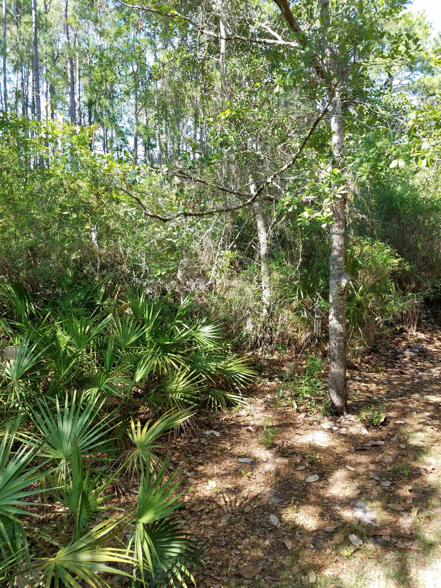 TOWN OF SANTA ROSA - Residential