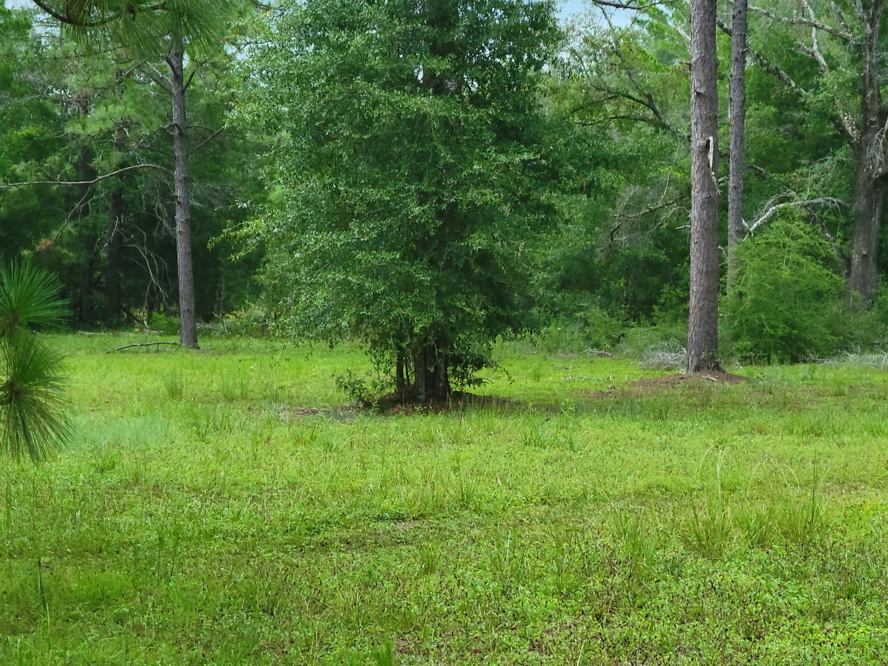 Metes and Bounds - Residential