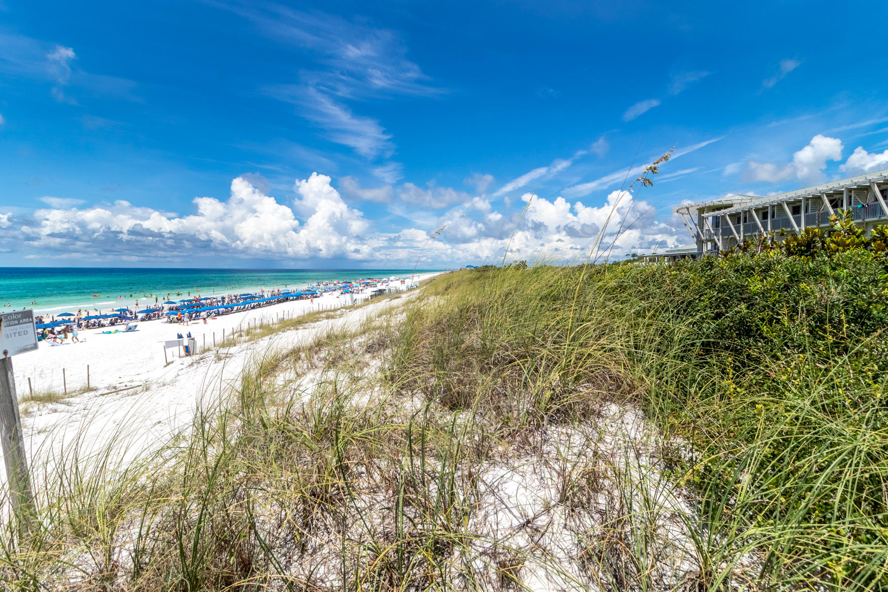 WATERCOLOR - Residential