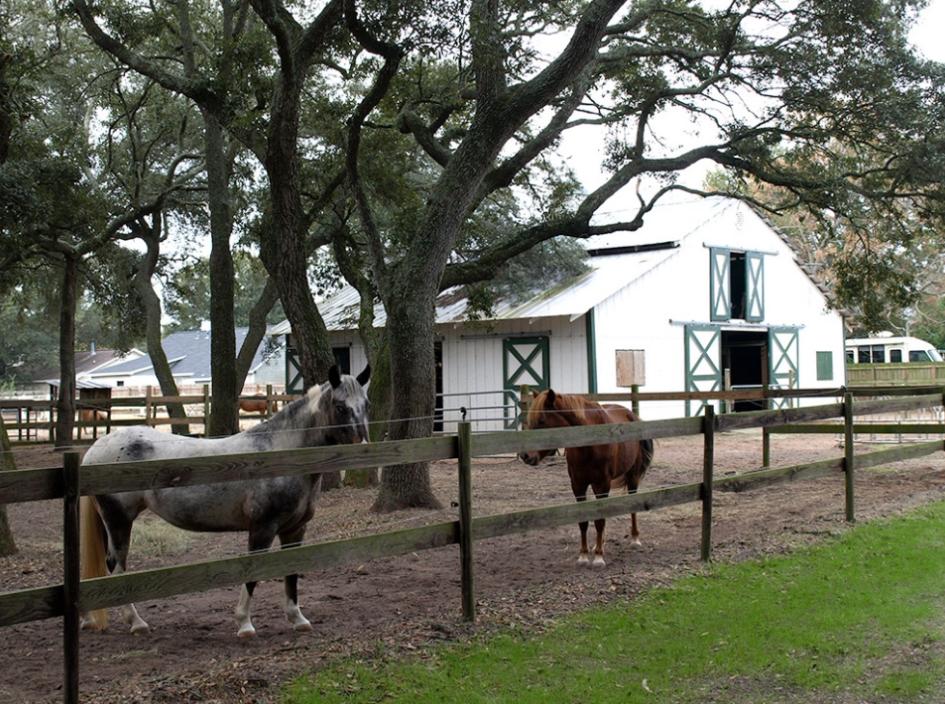 SEMINOLE - Residential