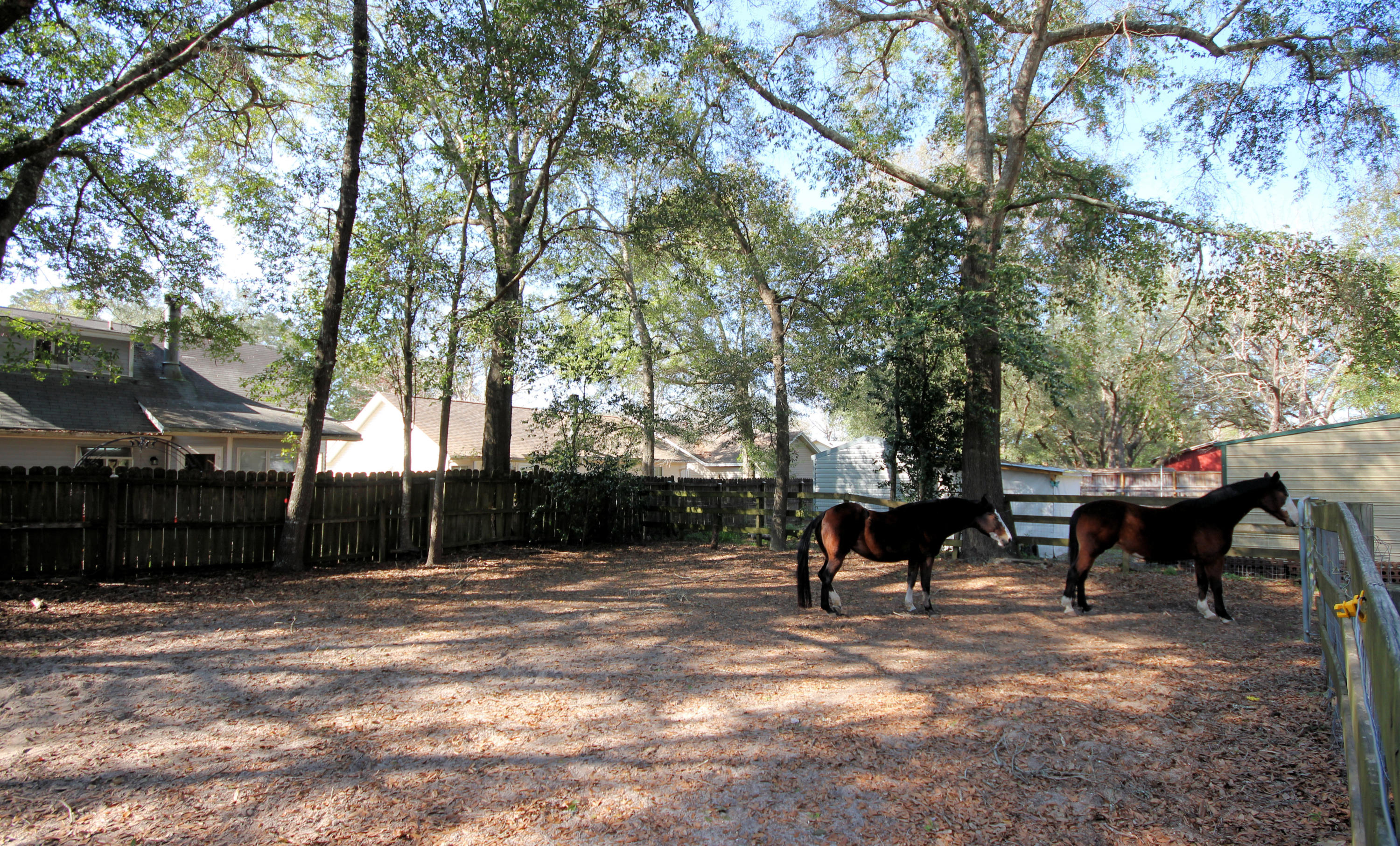 SEMINOLE - Residential