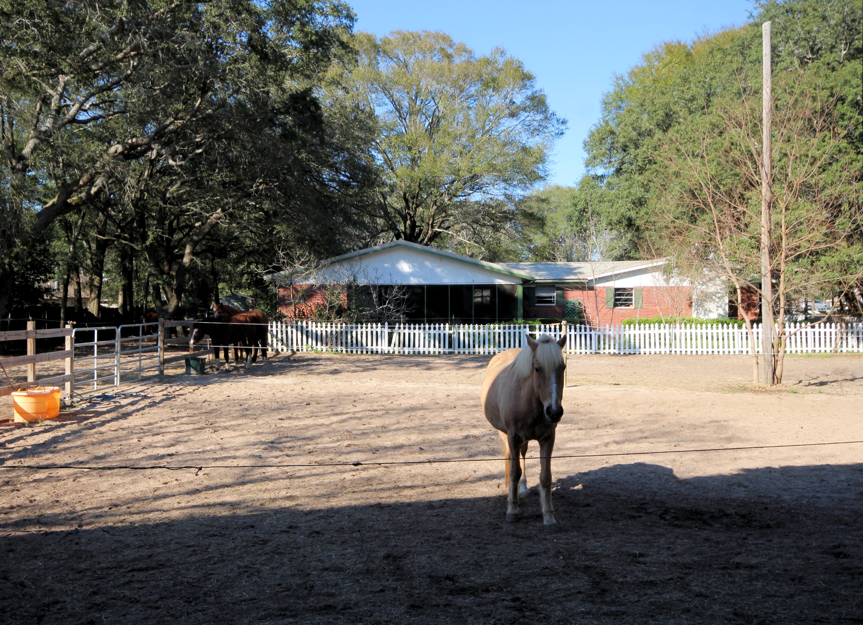 SEMINOLE - Residential