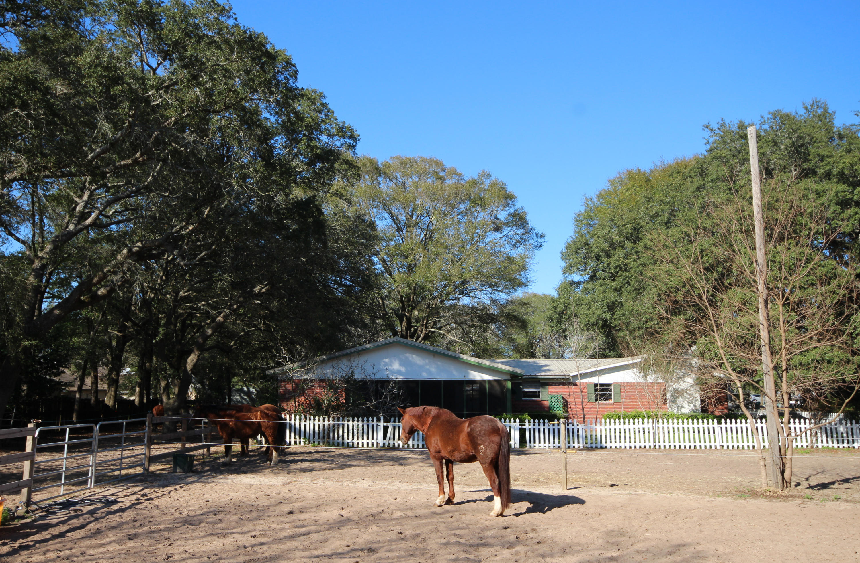 SEMINOLE - Residential