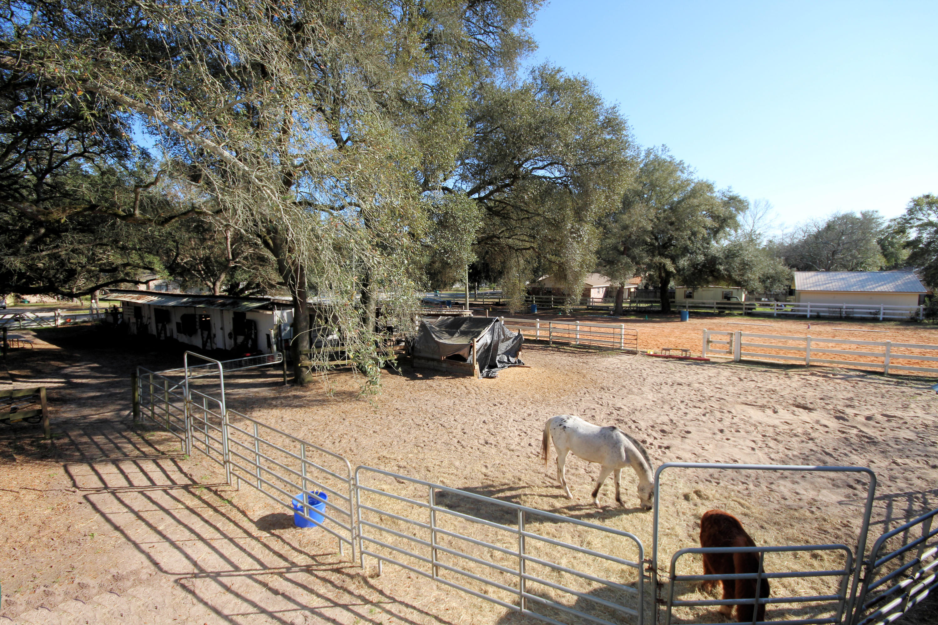 SEMINOLE - Residential