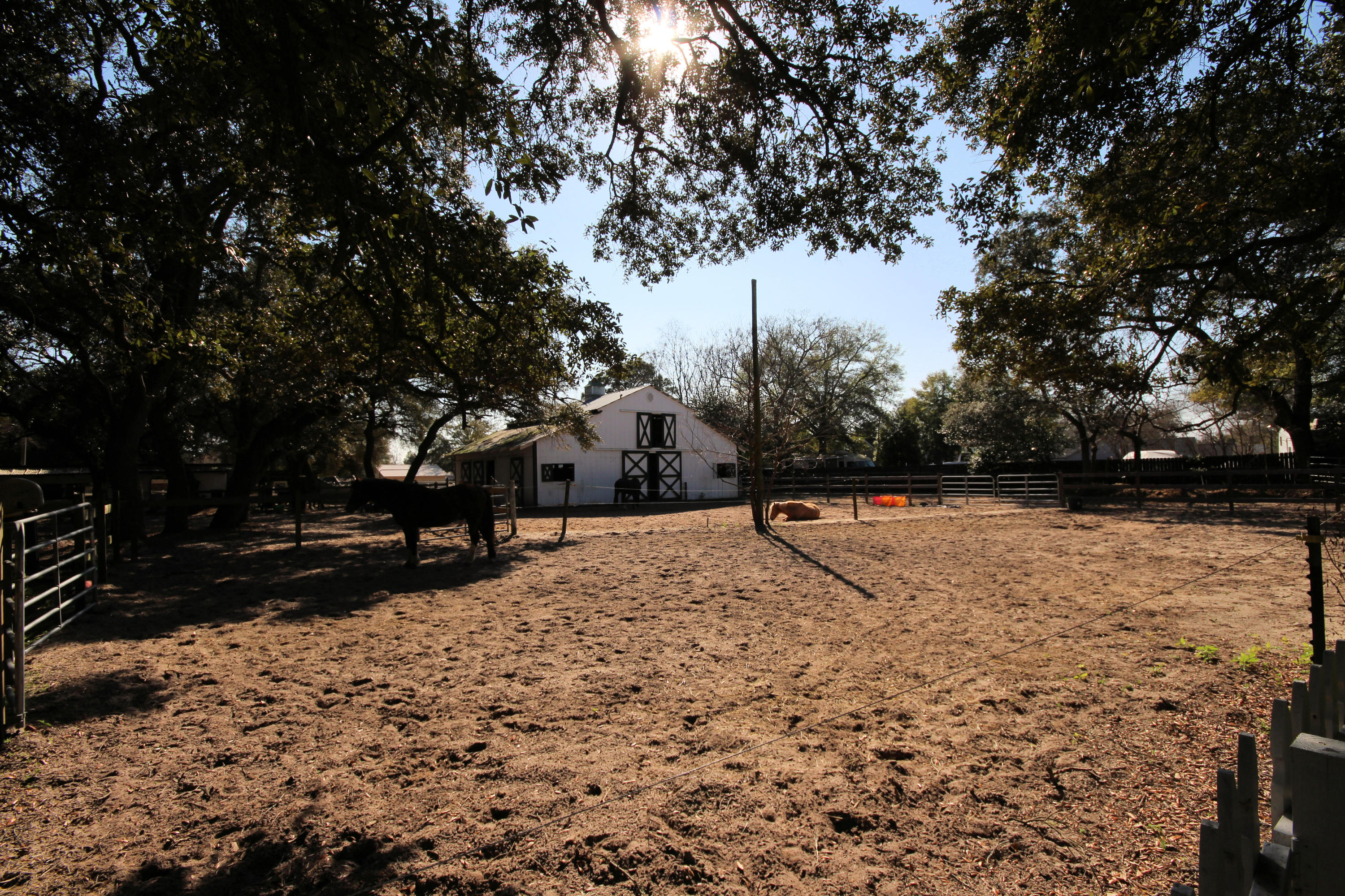 SEMINOLE - Residential