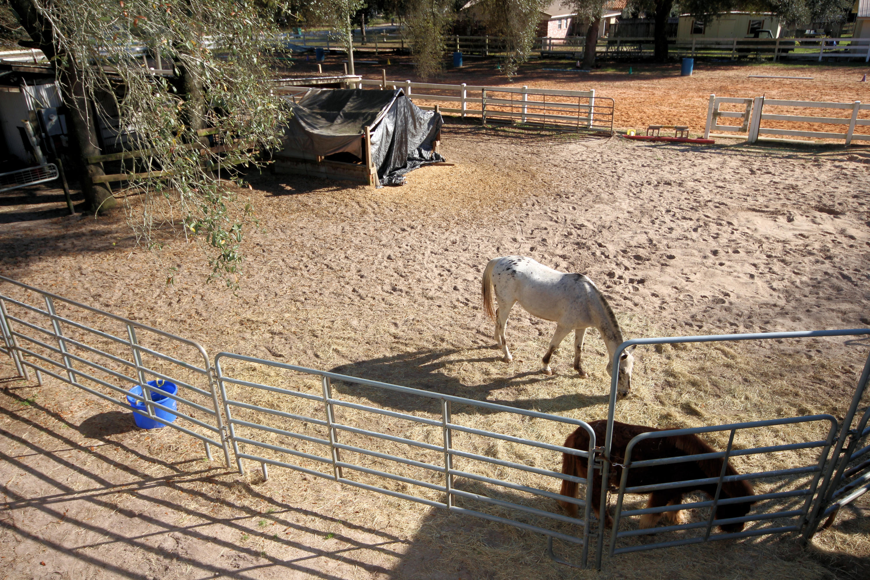 SEMINOLE - Residential