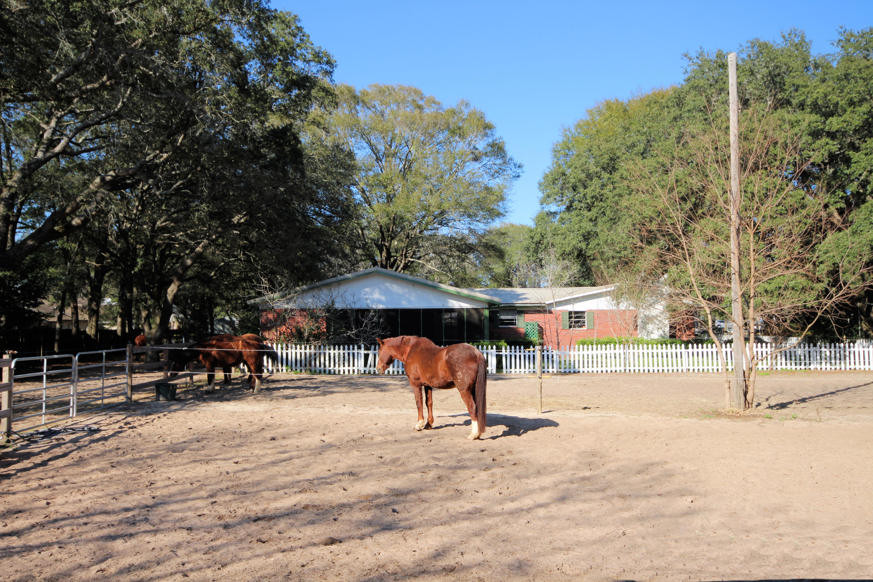 SEMINOLE - Residential