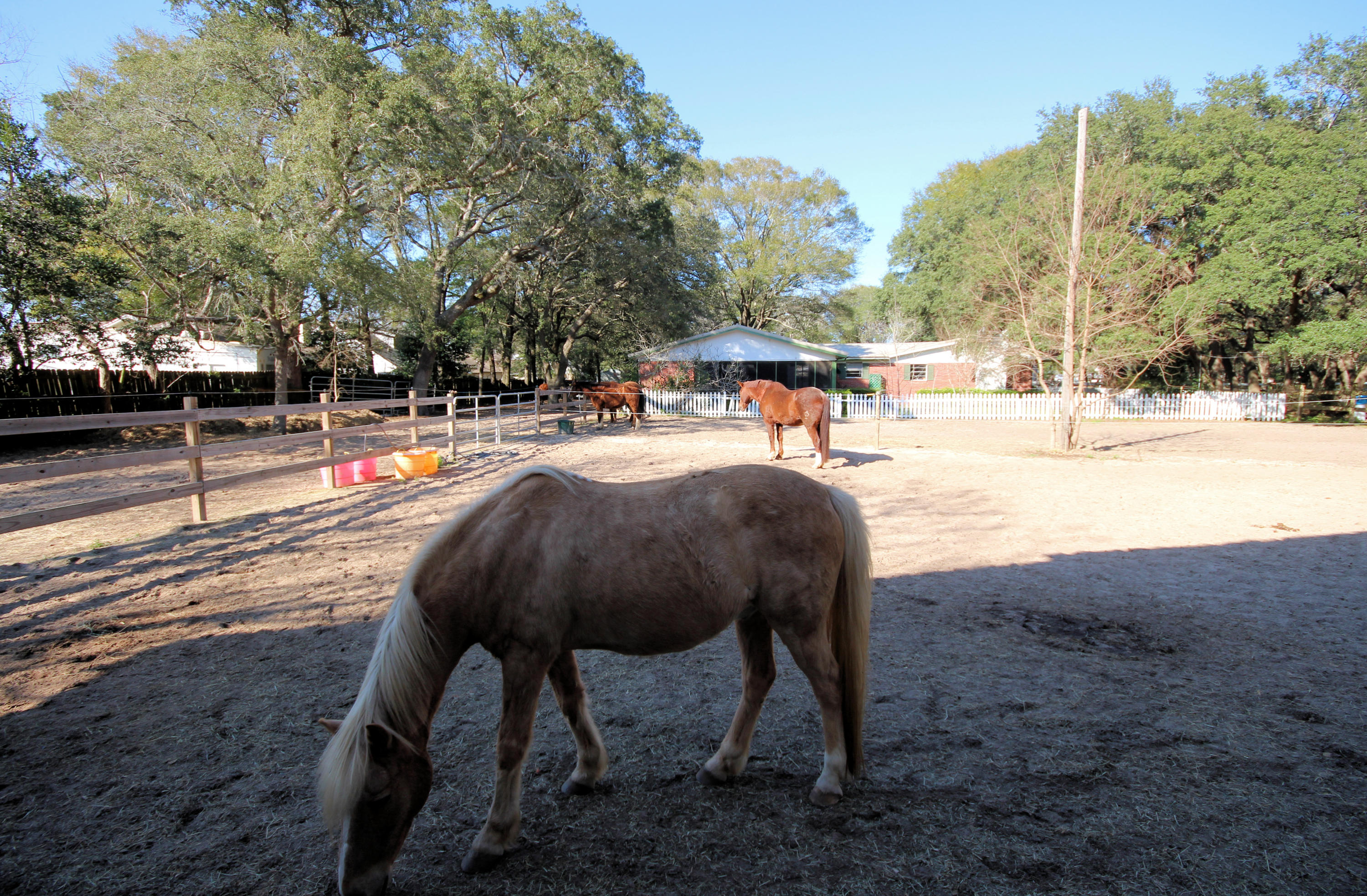 SEMINOLE - Residential