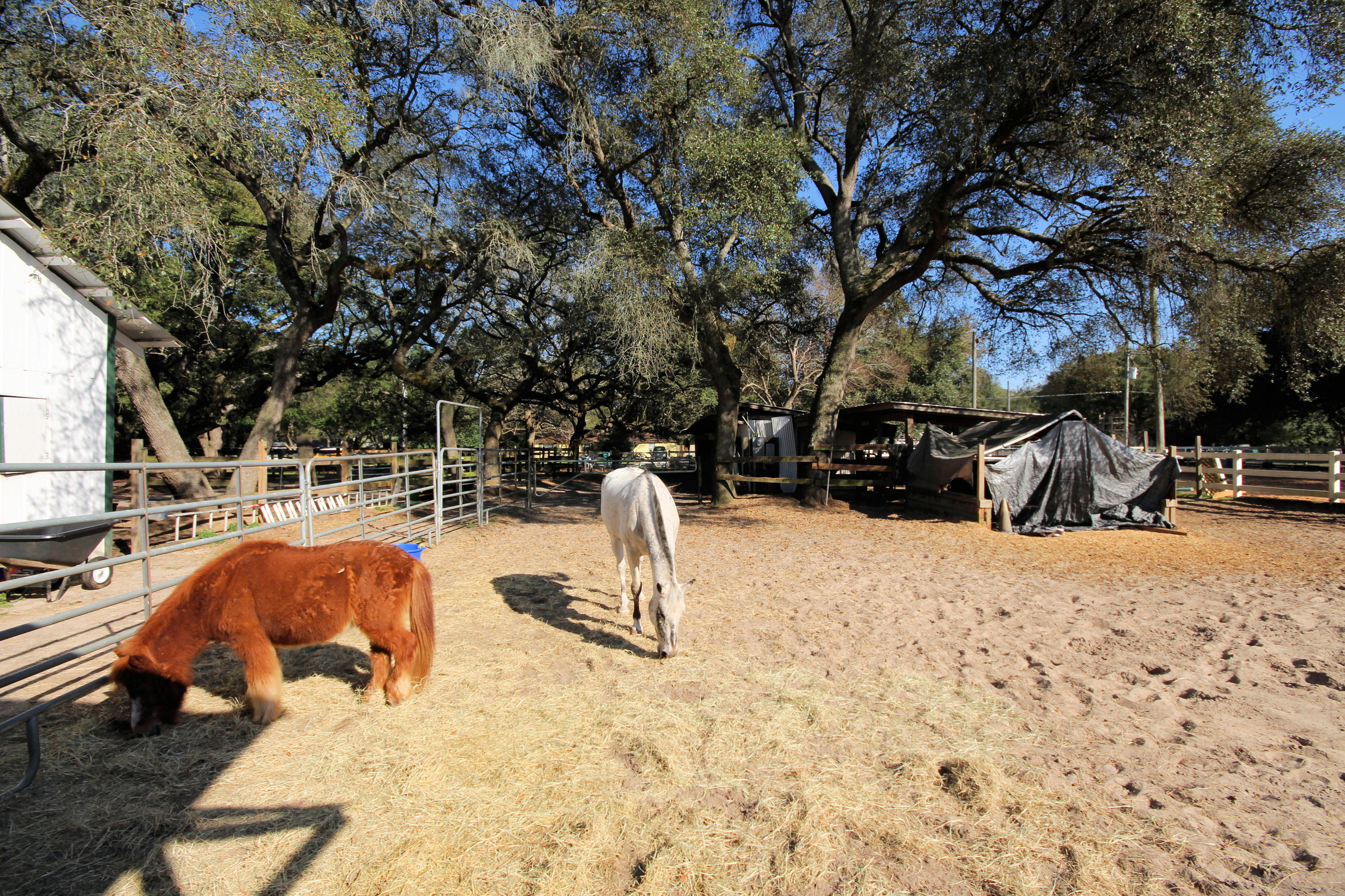 SEMINOLE - Residential