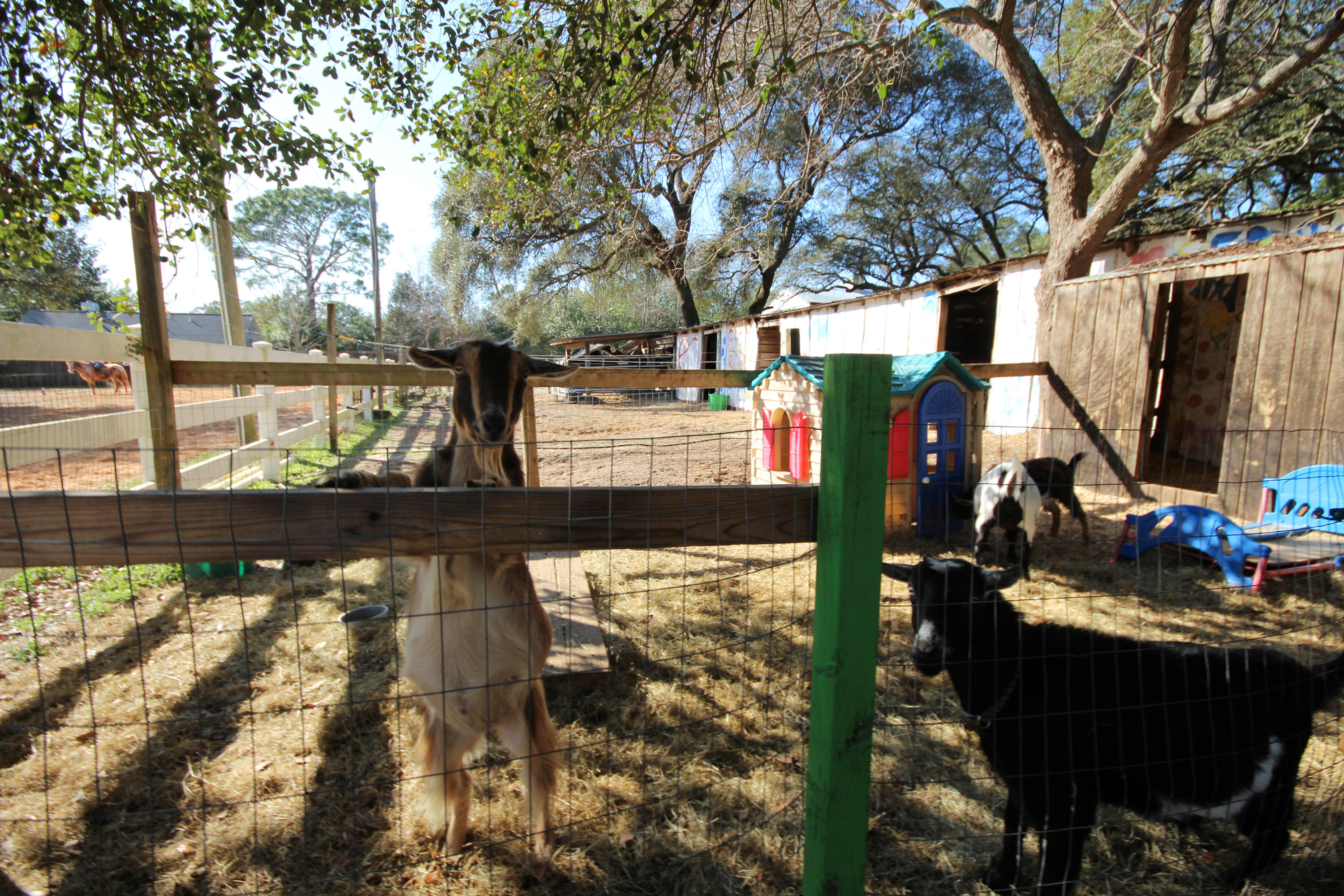 SEMINOLE - Residential